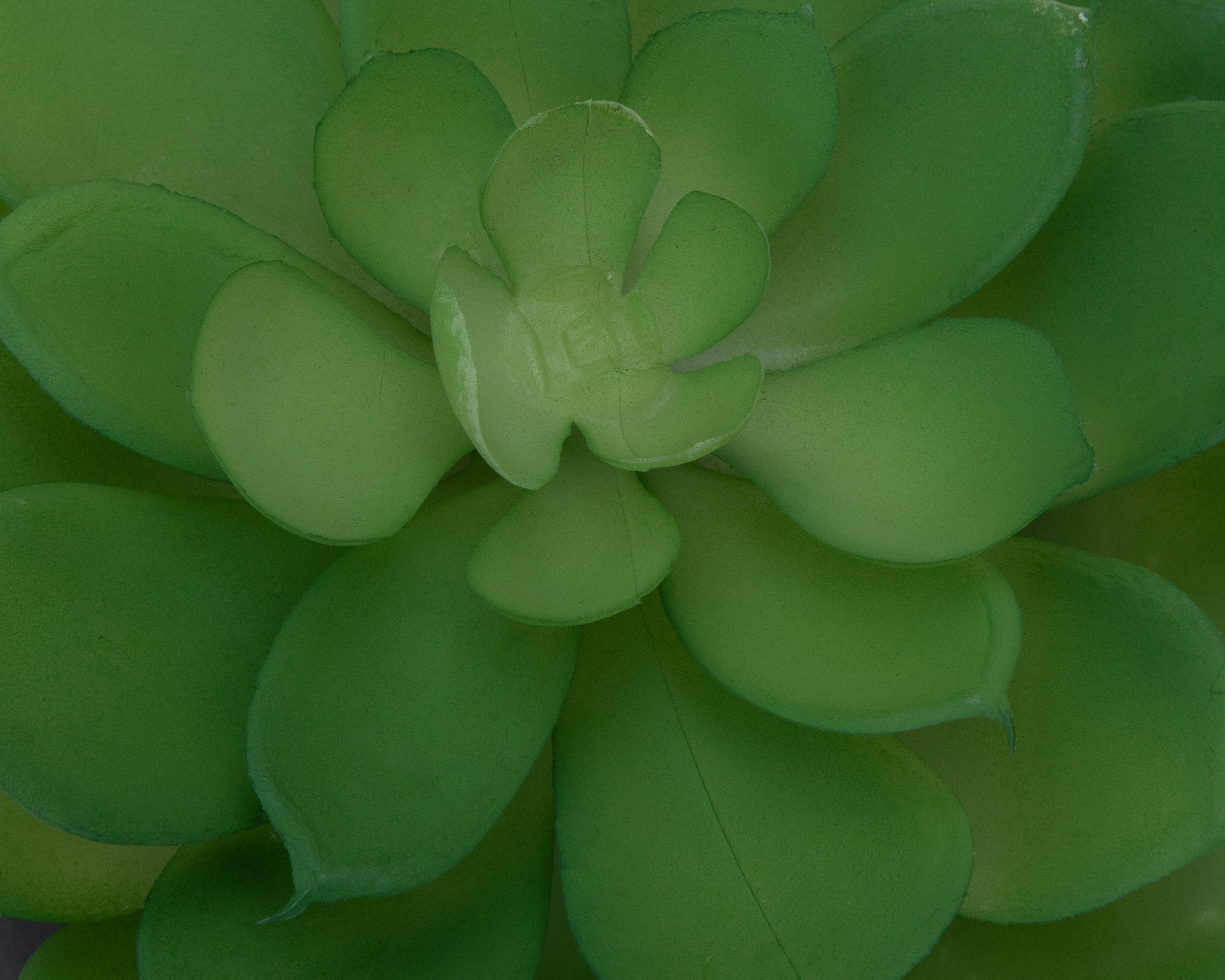 Foto 4 pulgar | Foto 3 | Suculenta Artificial con Maceta Starhaus 17 cm