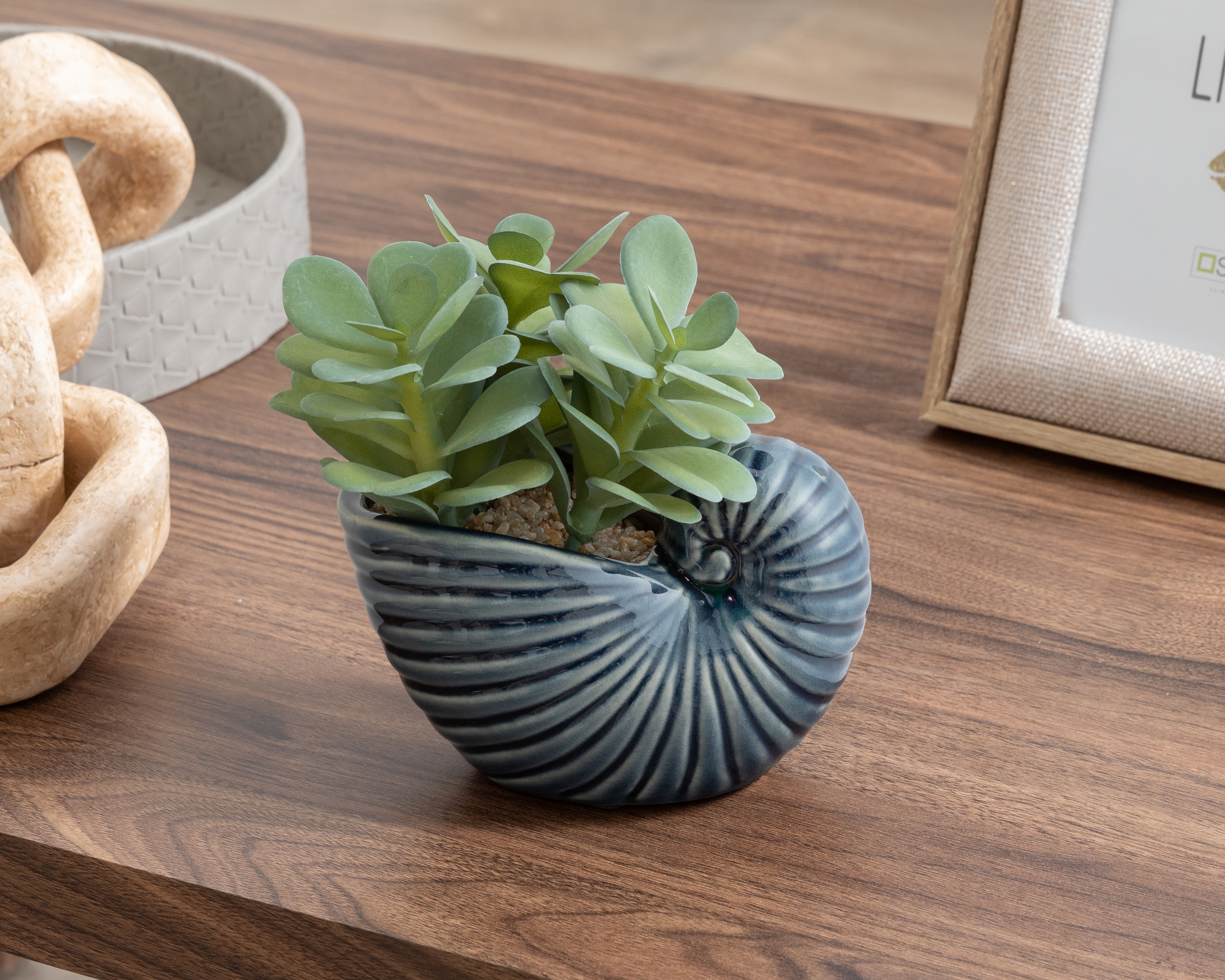 Foto 4 | Foto 4 | Suculenta Artifical con Maceta Starhaus 15 cm