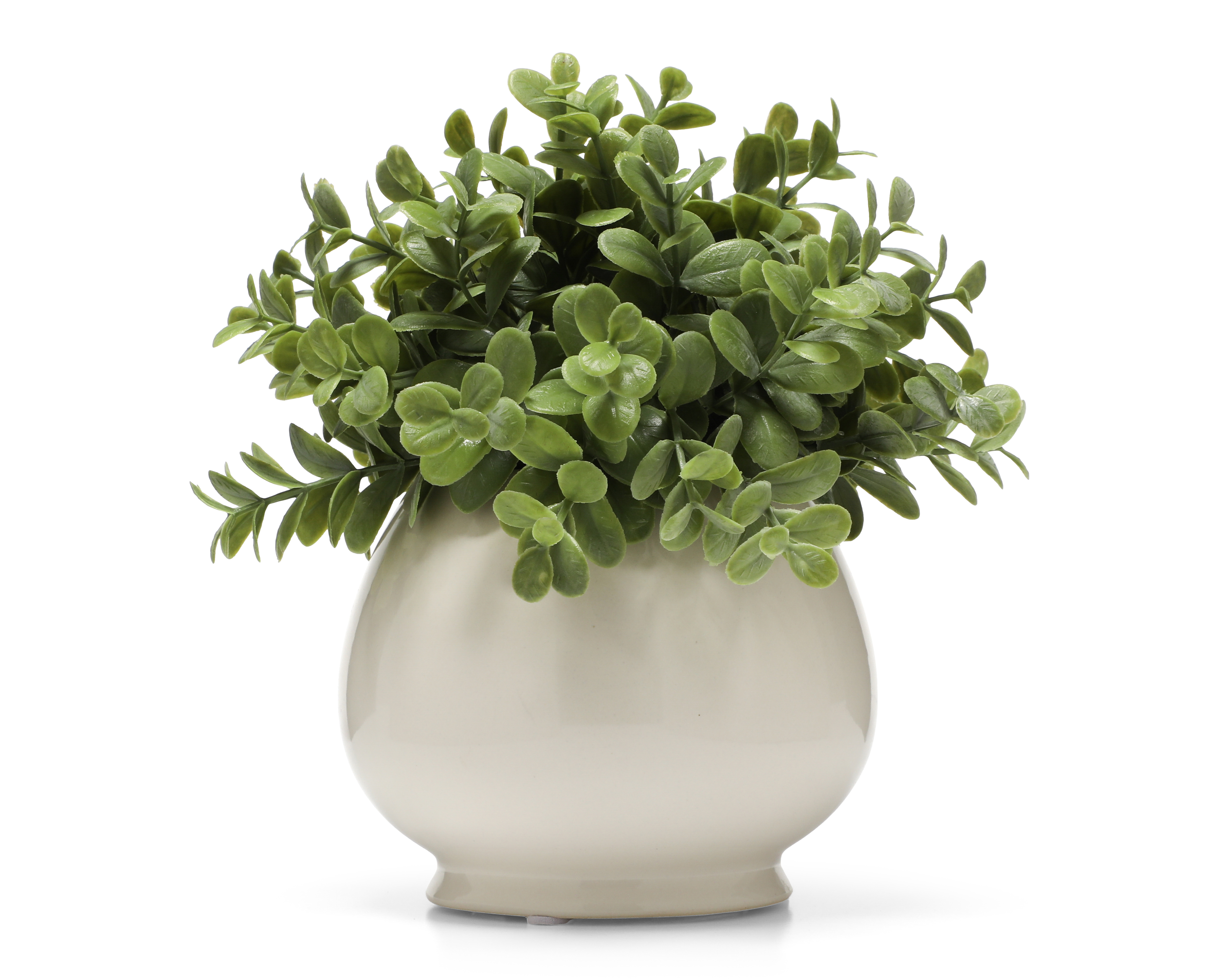 Suculenta Artificial con Maceta Starhaus 20 cm