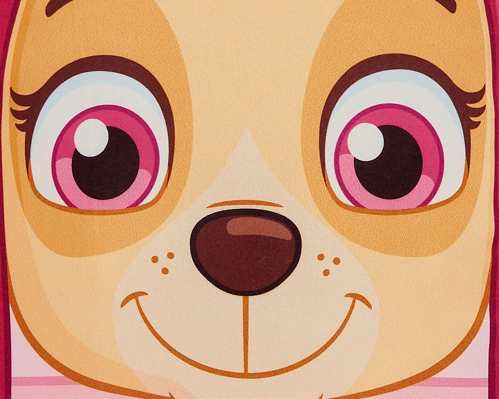 Foto 4 | Foto 4 | Cojín Infantil Paw Patrol
