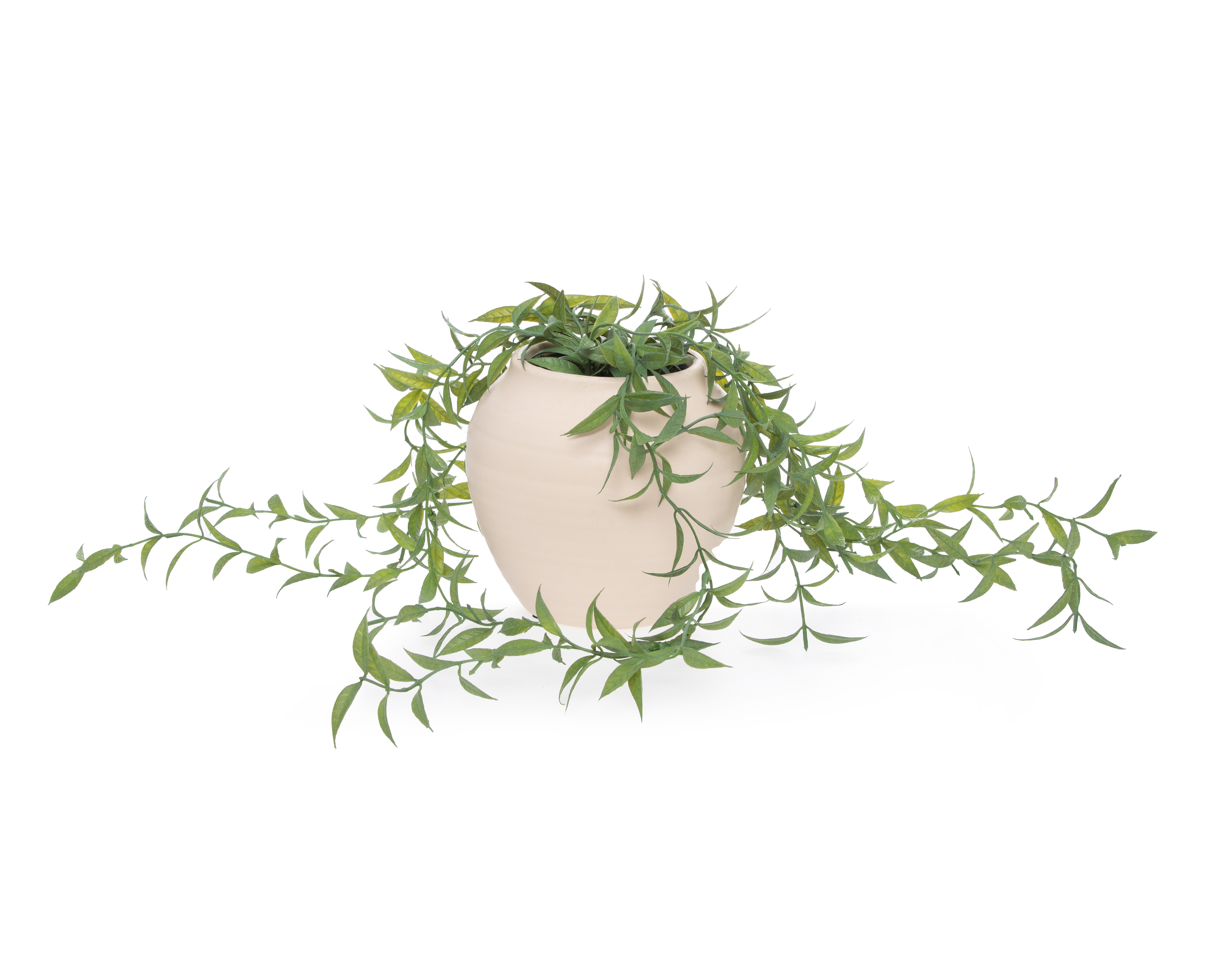 Foto 3 pulgar | Foto 2 | Suculenta Artificial con Maceta Starhaus 17 cm