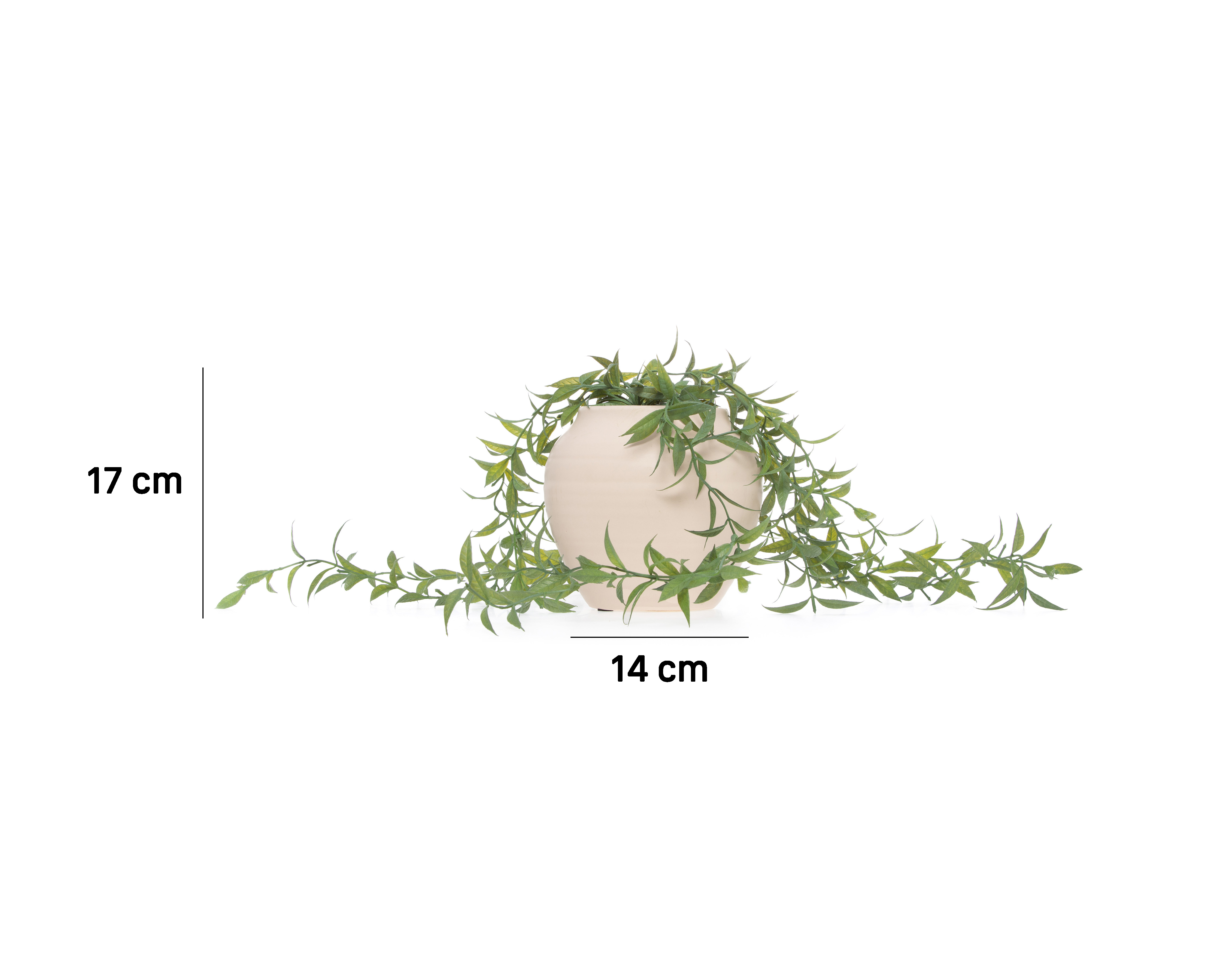 Foto 5 | Foto 5 | Suculenta Artificial con Maceta Starhaus 17 cm