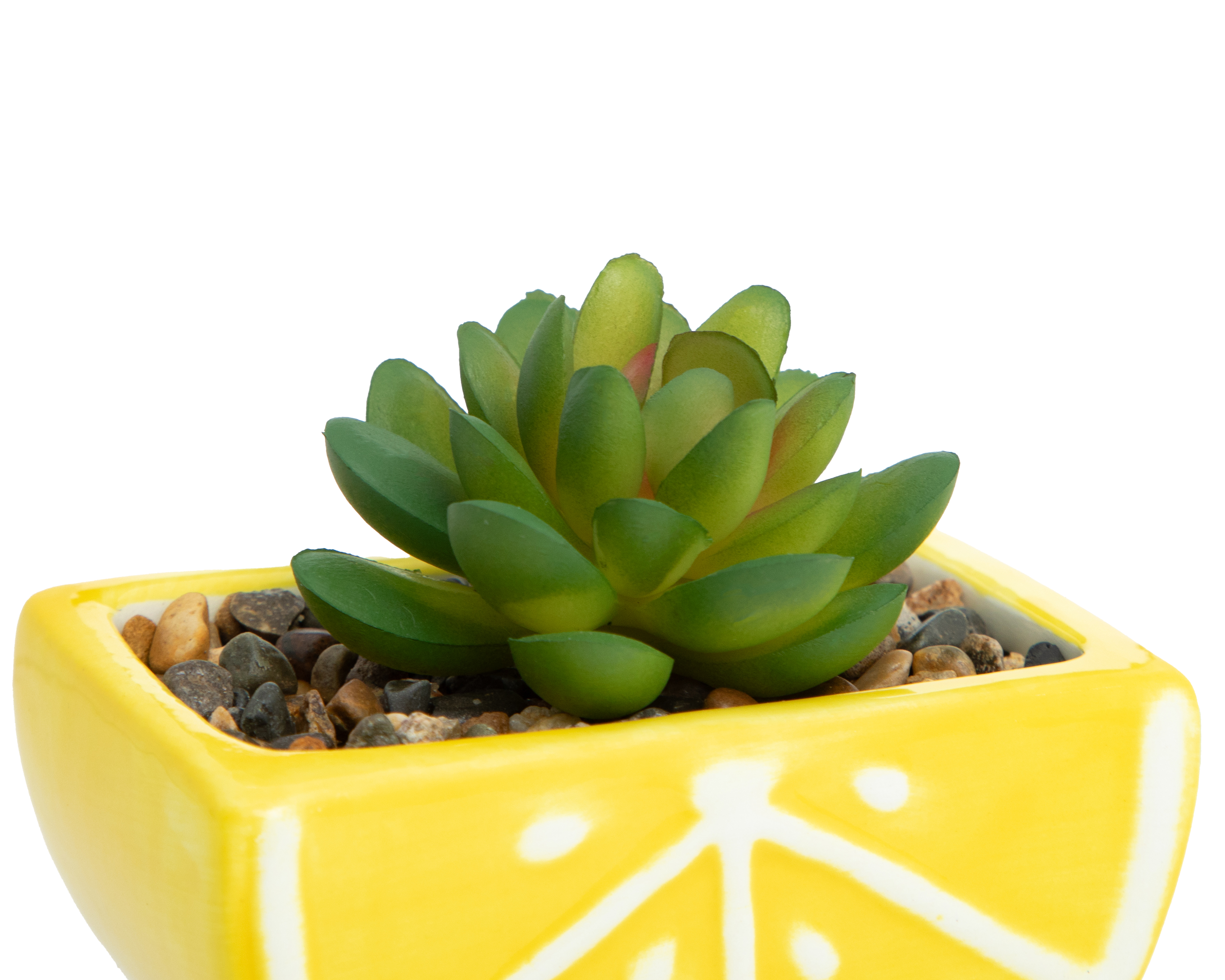 Foto 4 | Foto 4 | Suculenta Artificial con Maceta Starhaus 8 cm 2 Piezas