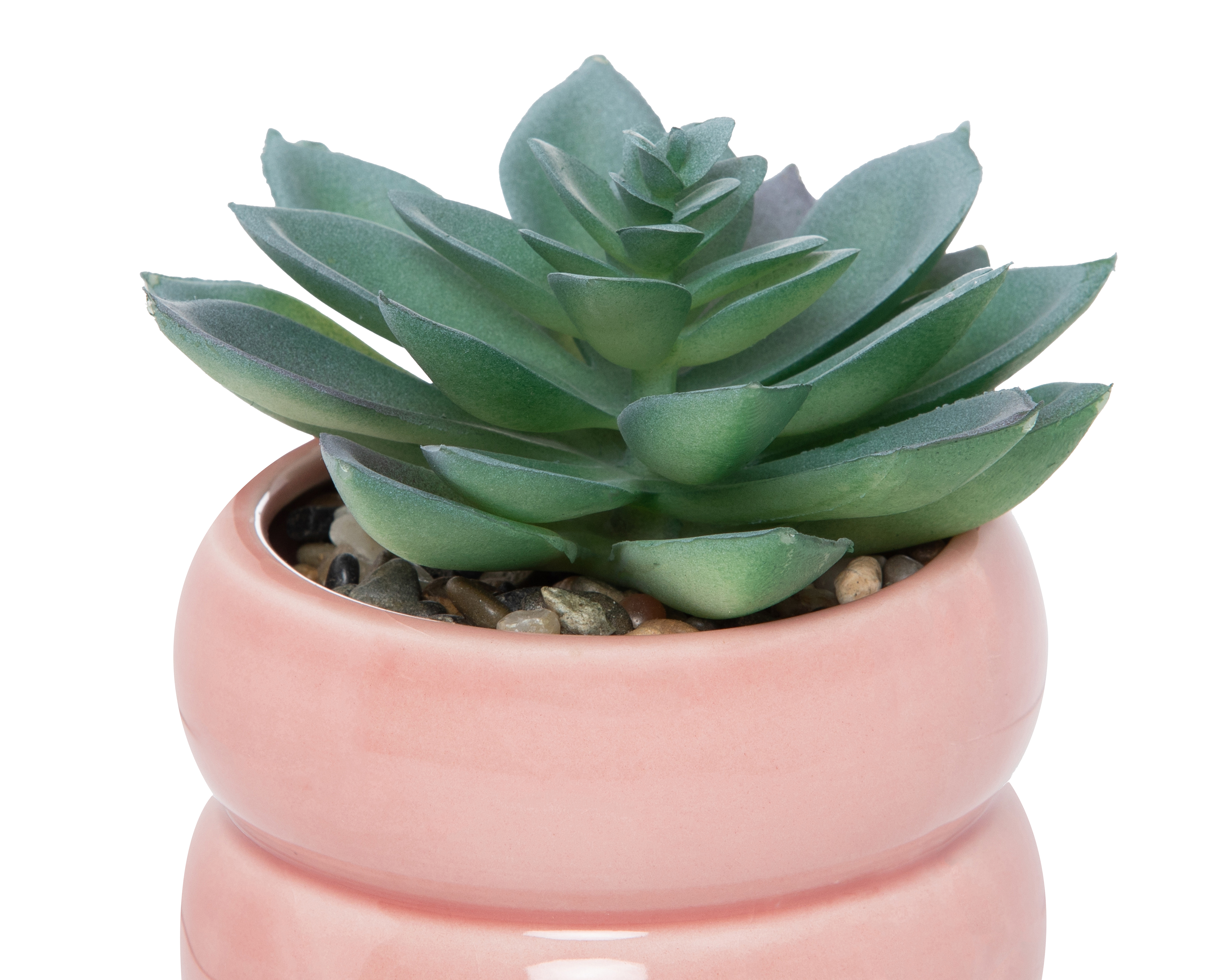 Foto 4 pulgar | Foto 3 | Suculenta Artificial con Maceta Starhaus 12 cm