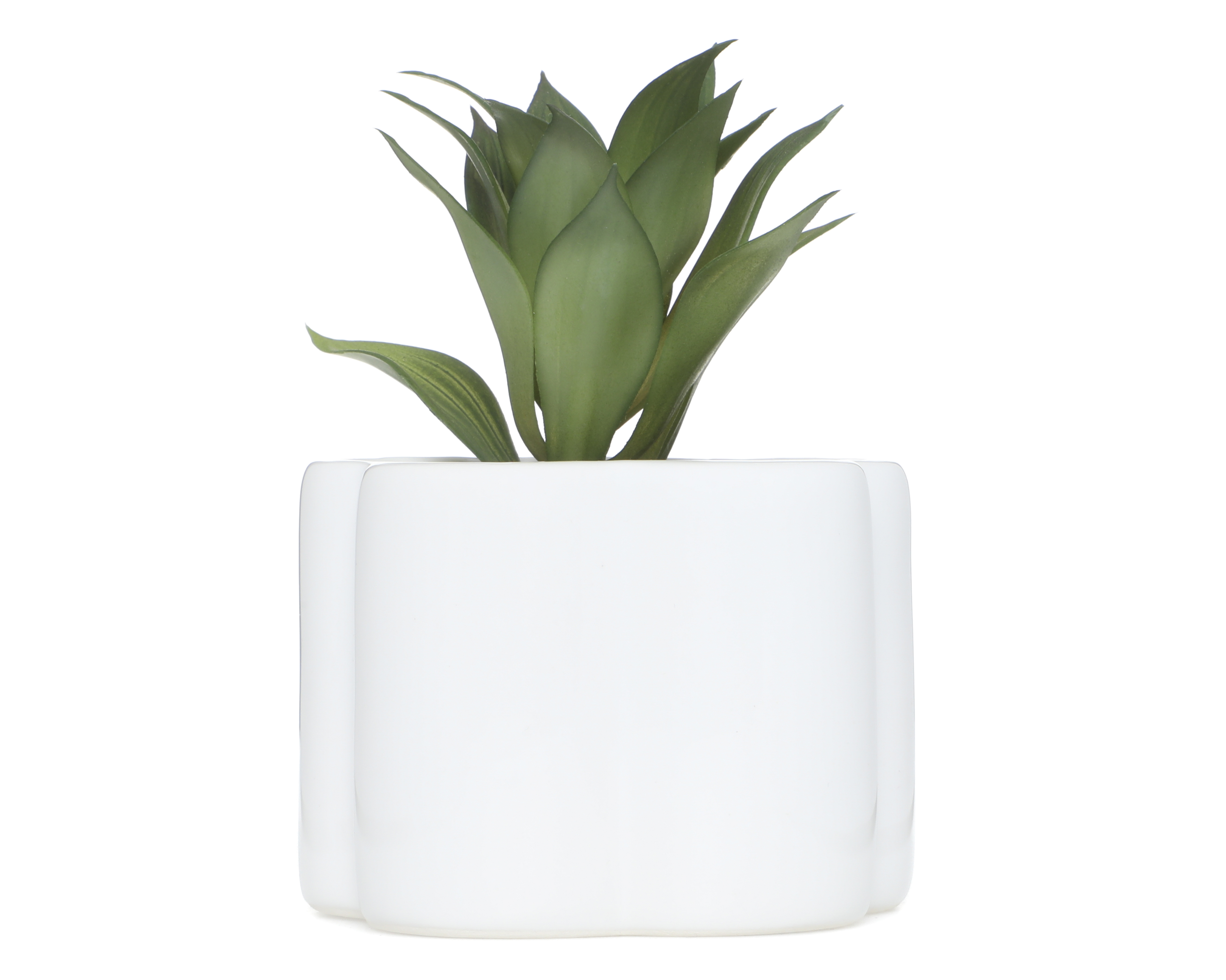 Suculenta Artificial con Maceta Starhaus 14 cm