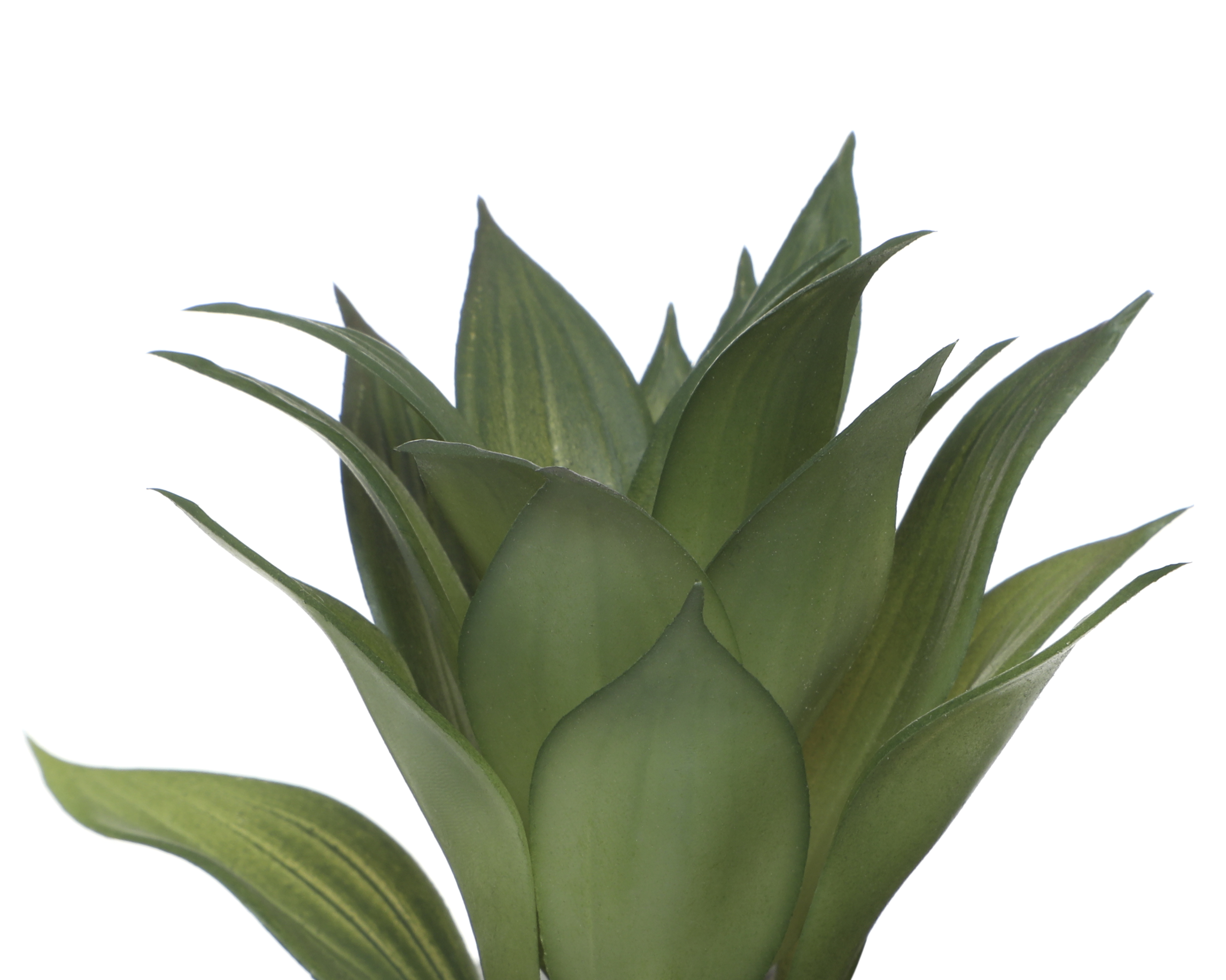 Foto 4 pulgar | Foto 3 | Suculenta Artificial con Maceta Starhaus 14 cm