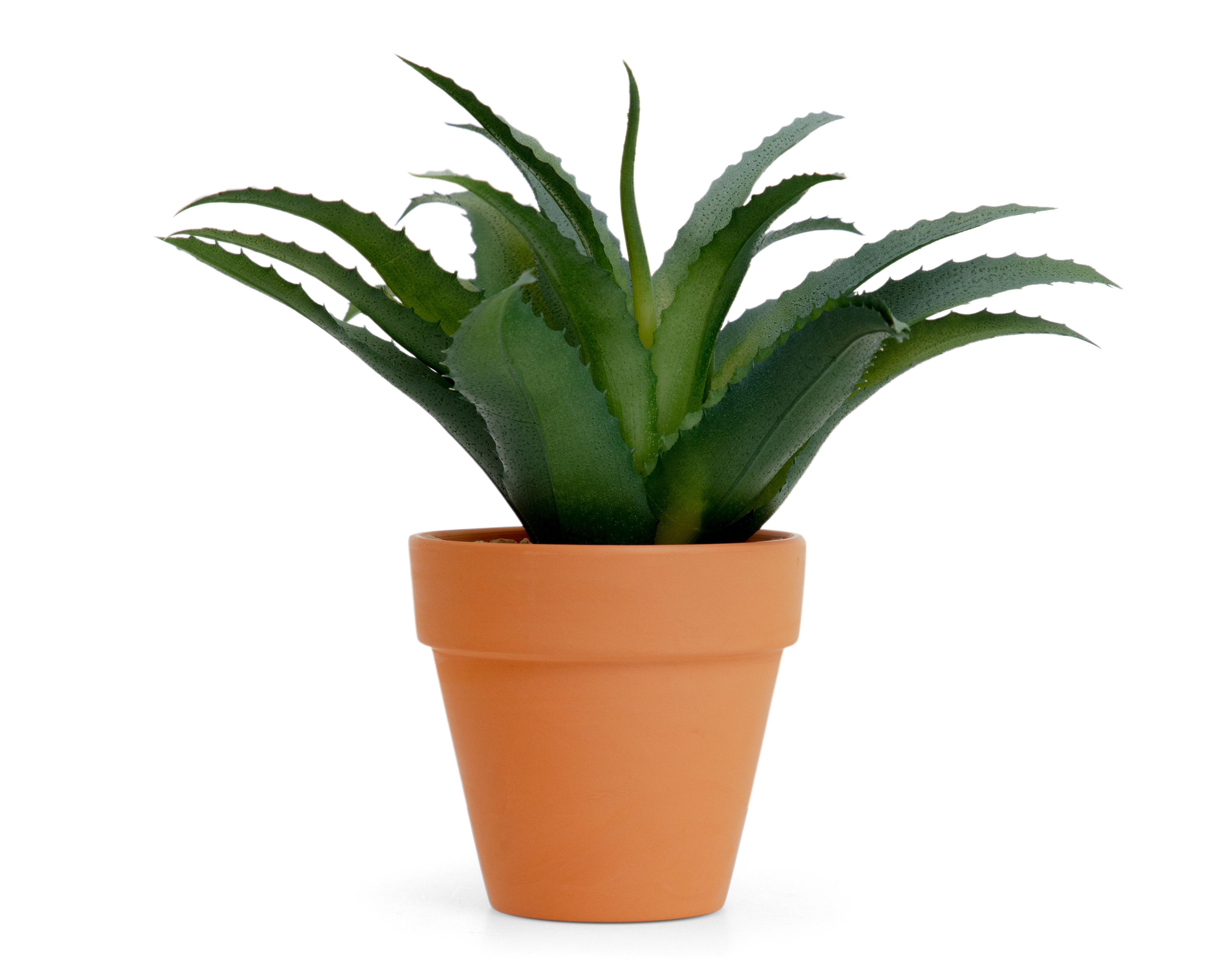 Foto 1 | Foto 1 | Planta Artificial con Maceta Starhaus 22.5 cm