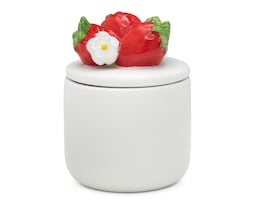 Contenedor de Cerámica Starhaus 300 ml