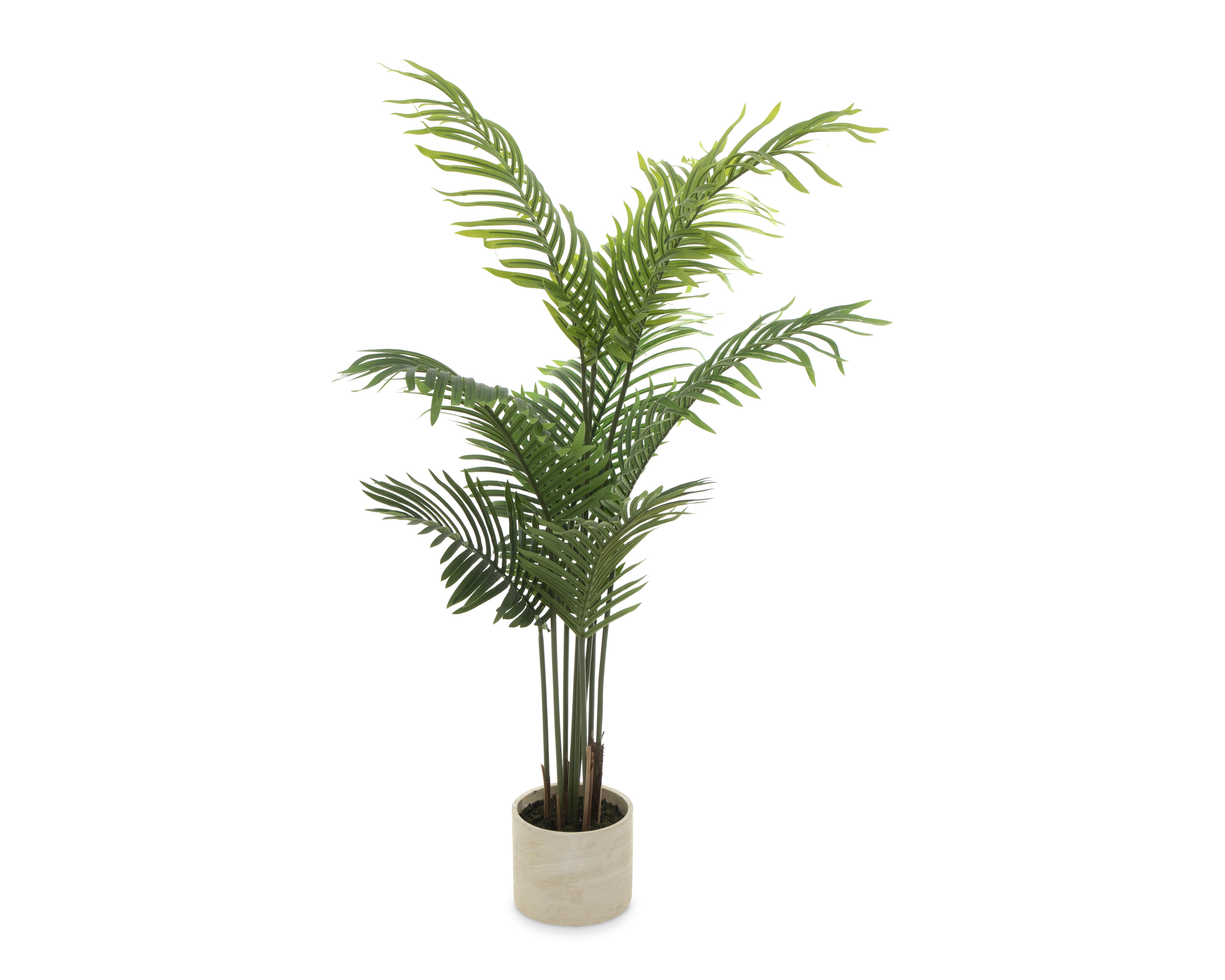 Foto 3 | Foto 3 | Planta Artificial Starhaus 120 cm