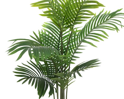 Foto 4 | Foto 4 | Planta Artificial Starhaus 120 cm