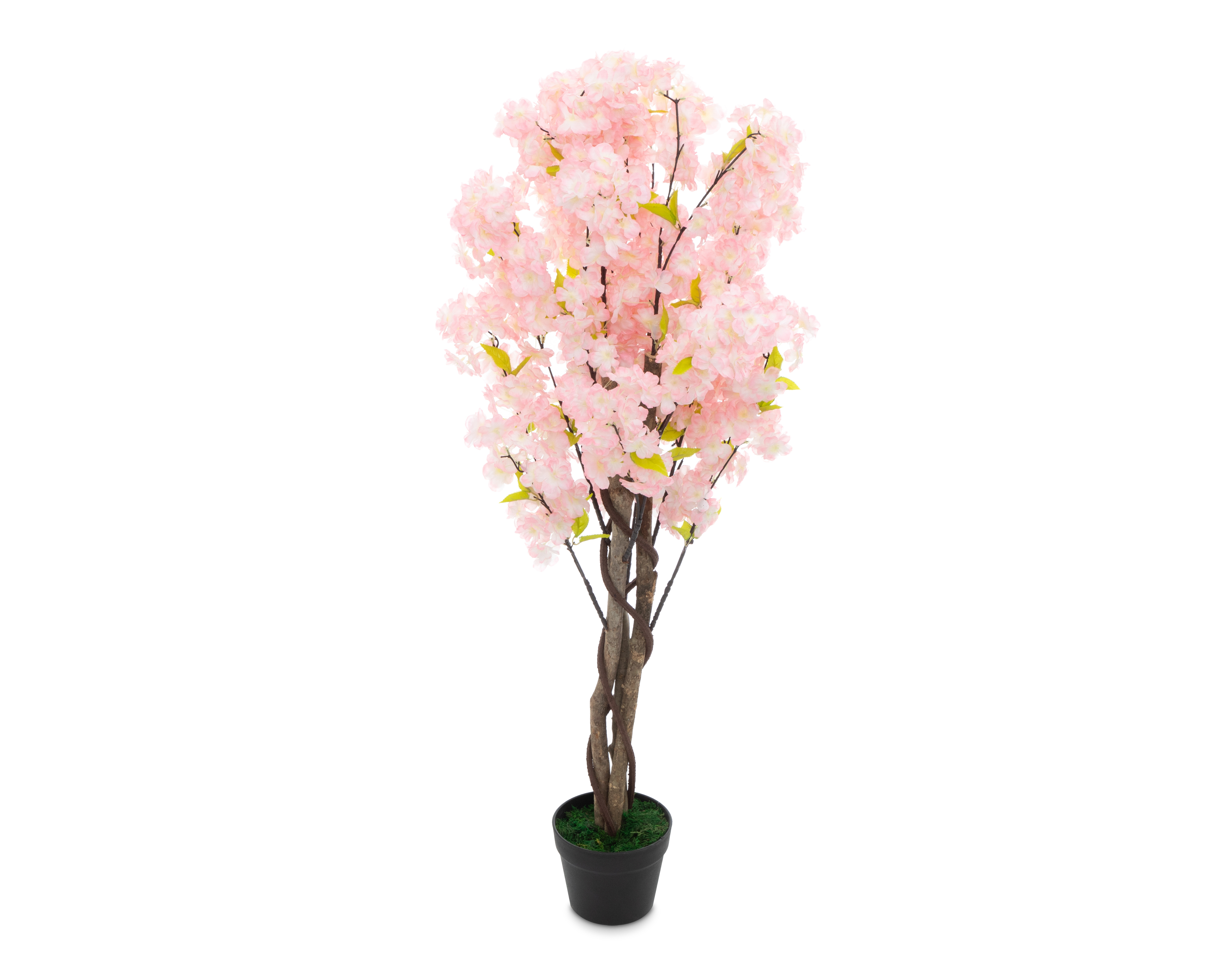Foto 2 | Foto 2 | Planta Artificial Starhaus 120 cm