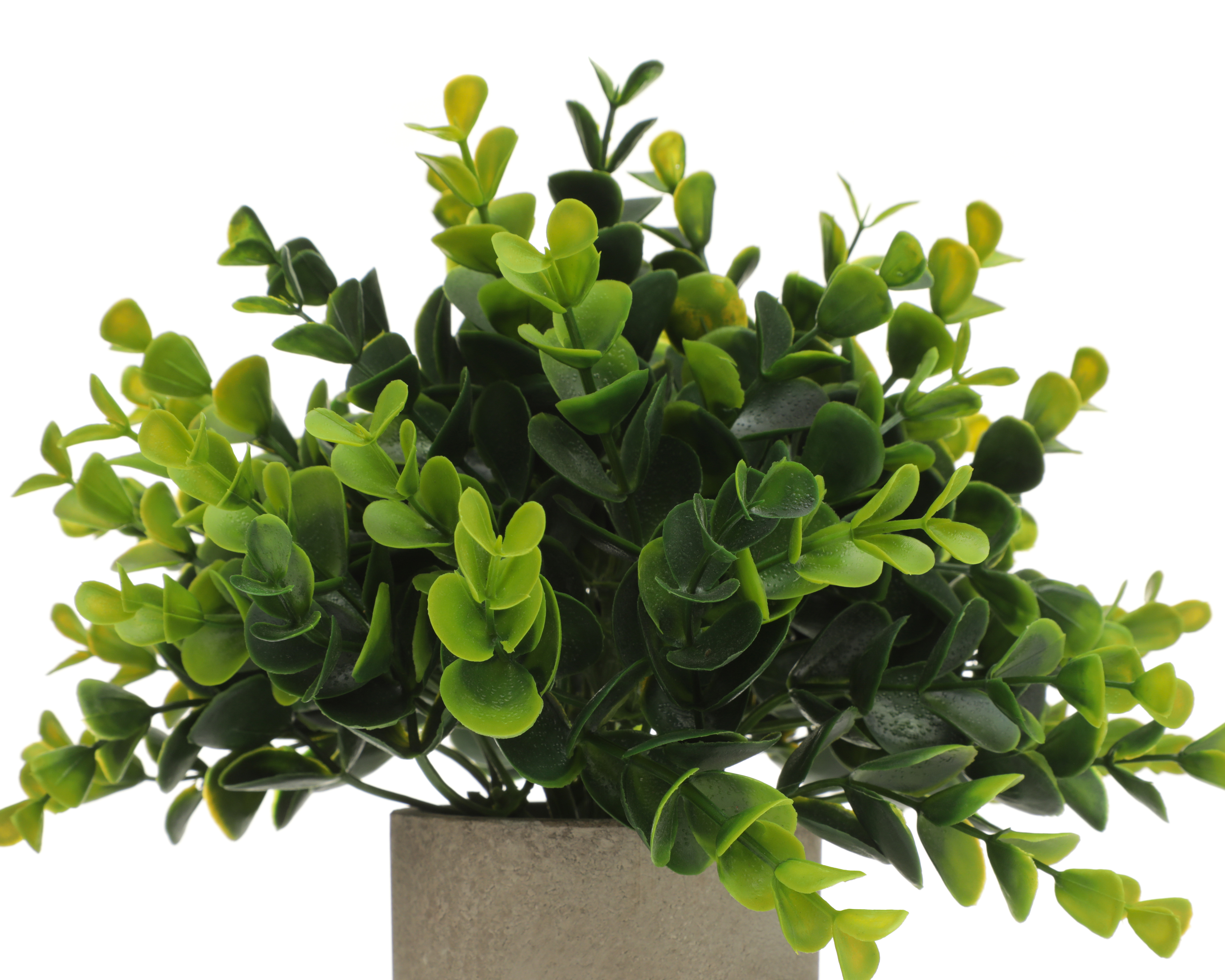 Foto 4 pulgar | Foto 3 | Planta Artificial con Maceta Starhaus 13 cm