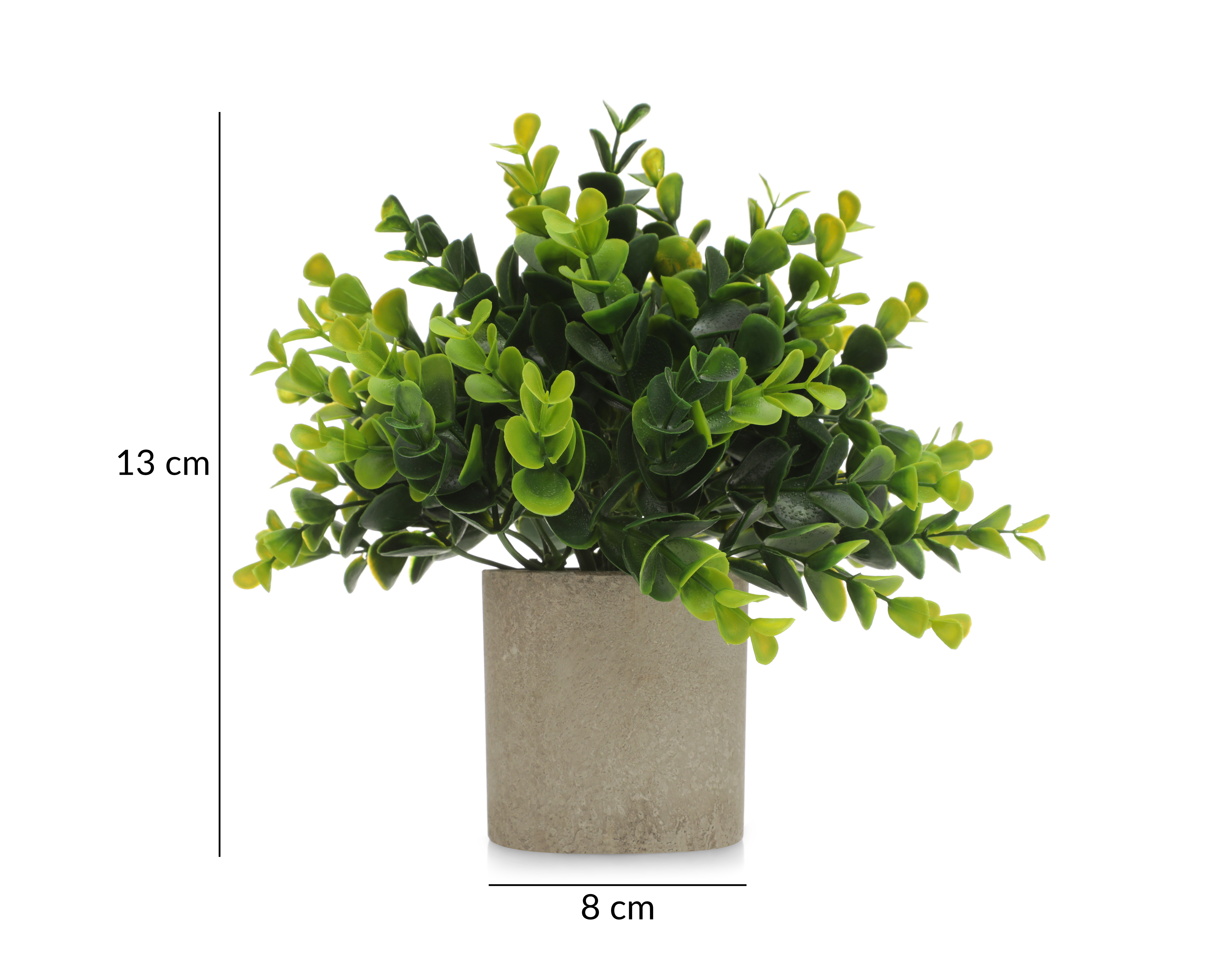 Foto 5 | Foto 5 | Planta Artificial con Maceta Starhaus 13 cm