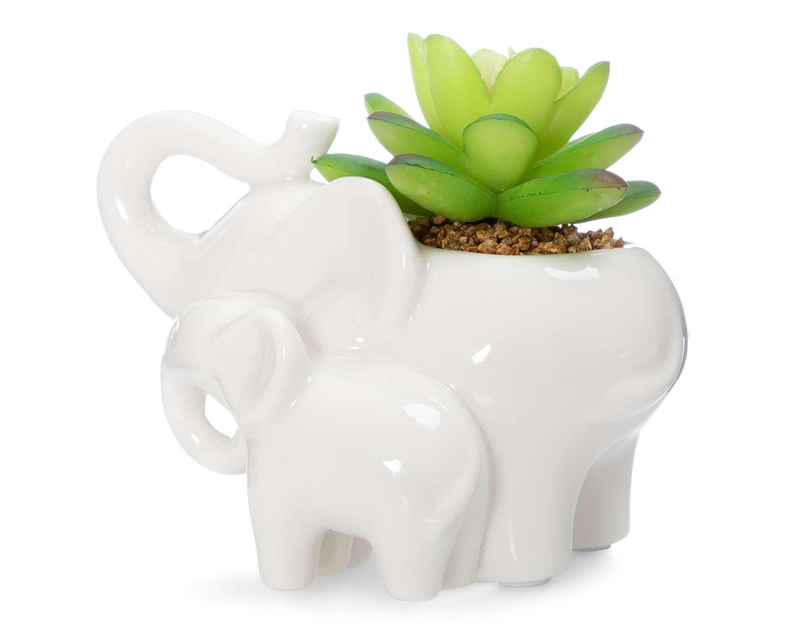 Foto 3 pulgar | Foto 2 | Planta Decorativa Gabys