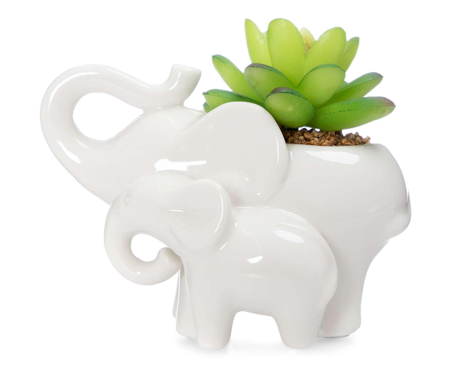 Foto 4 pulgar | Foto 3 | Planta Decorativa Gabys