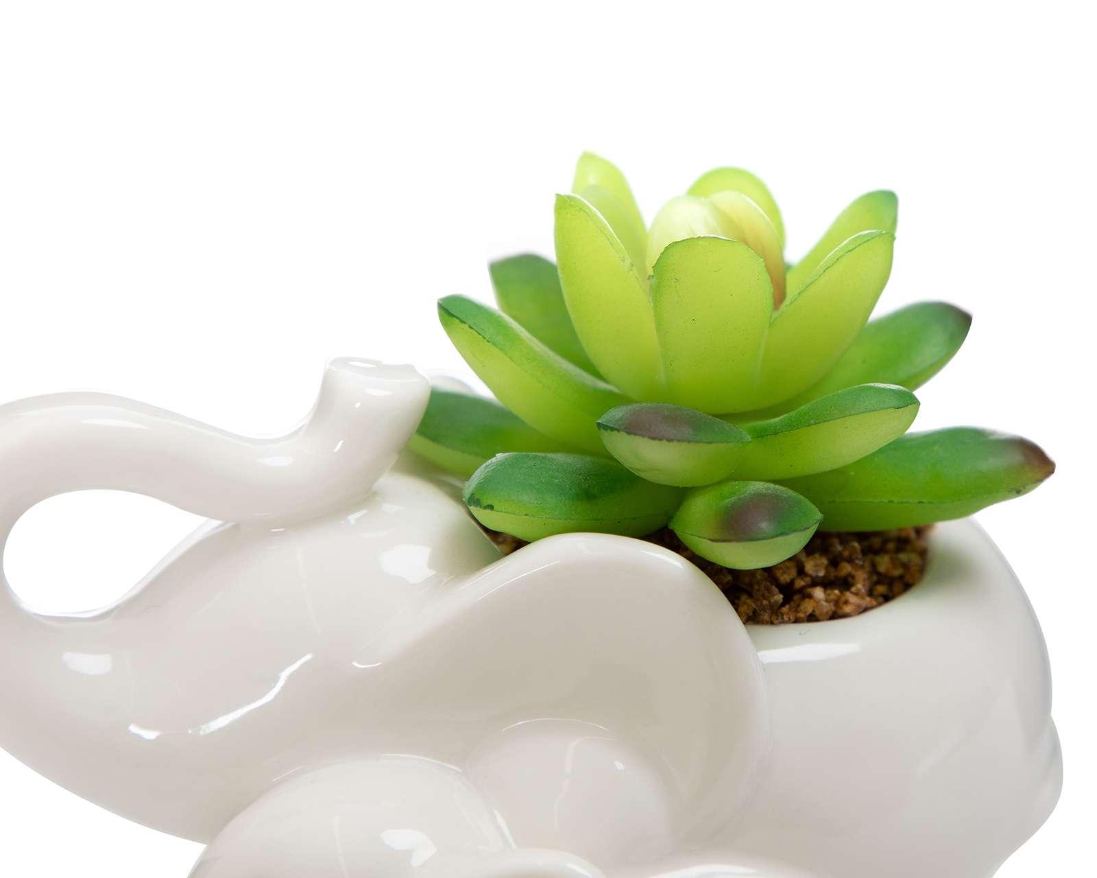 Foto 5 pulgar | Foto 4 | Planta Decorativa Gabys