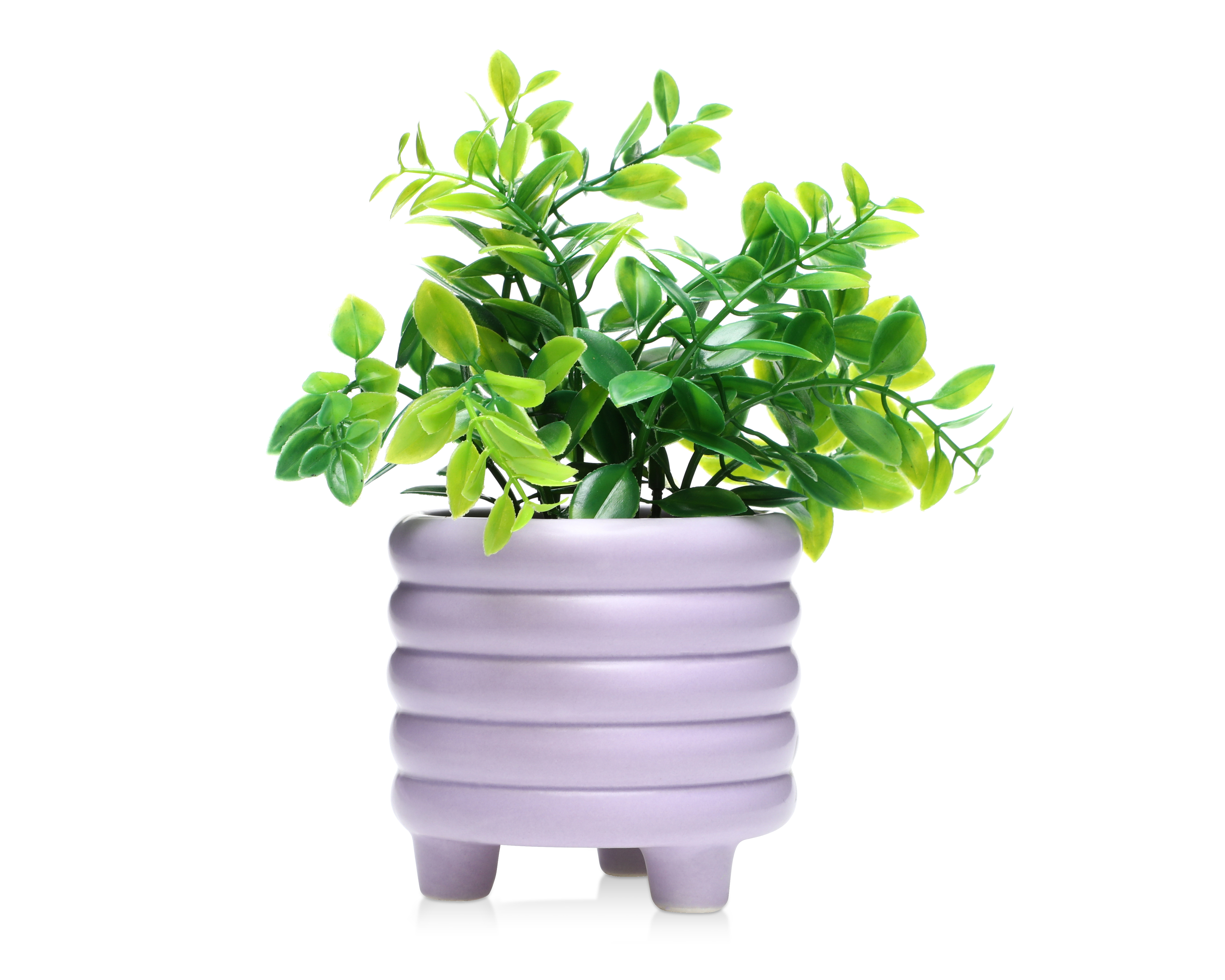 Foto 1 | Foto 1 | Planta Artificial con Maceta Starhaus 20 cm