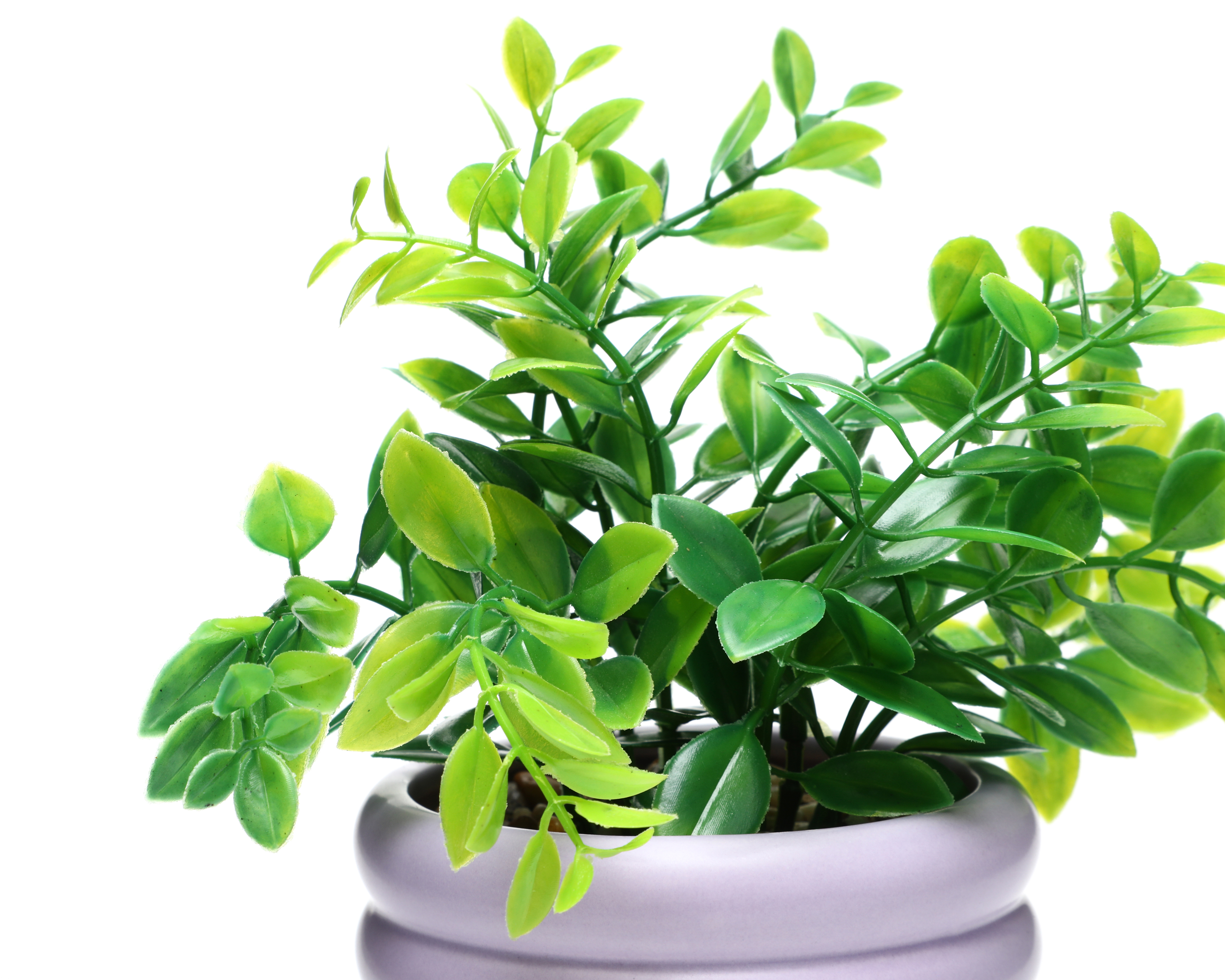 Foto 3 | Foto 3 | Planta Artificial con Maceta Starhaus 20 cm