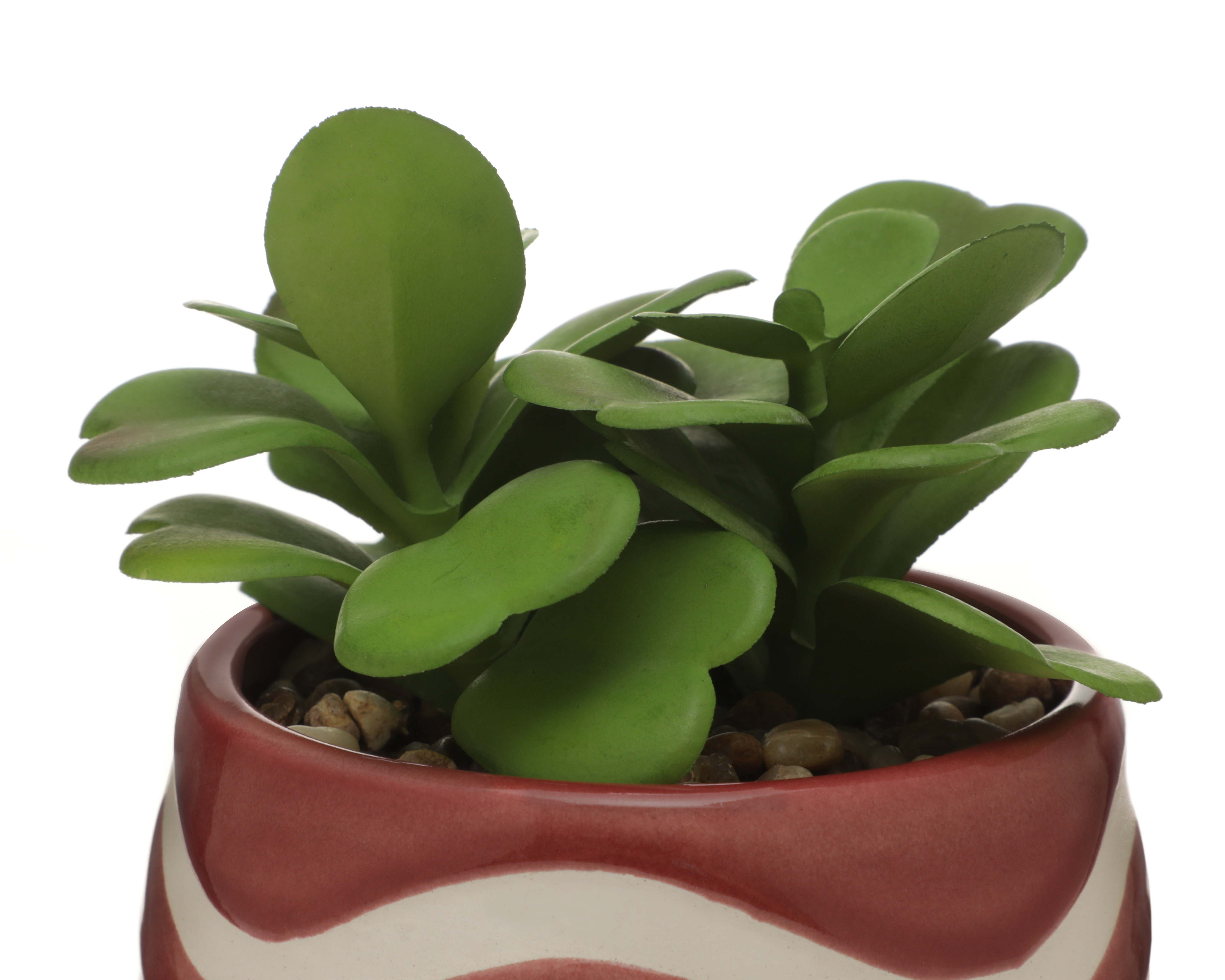 Foto 4 pulgar | Foto 3 | Planta Artificial con Maceta Starhaus 12 cm