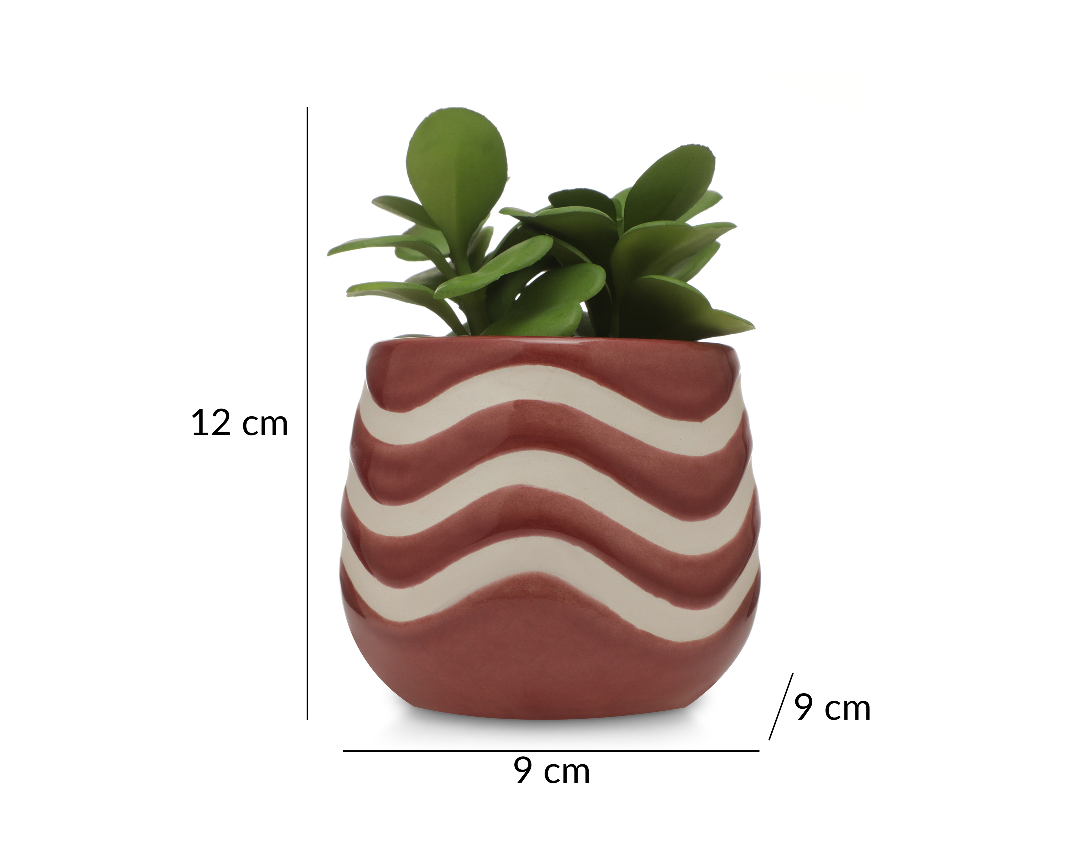 Foto 5 | Foto 5 | Planta Artificial con Maceta Starhaus 12 cm