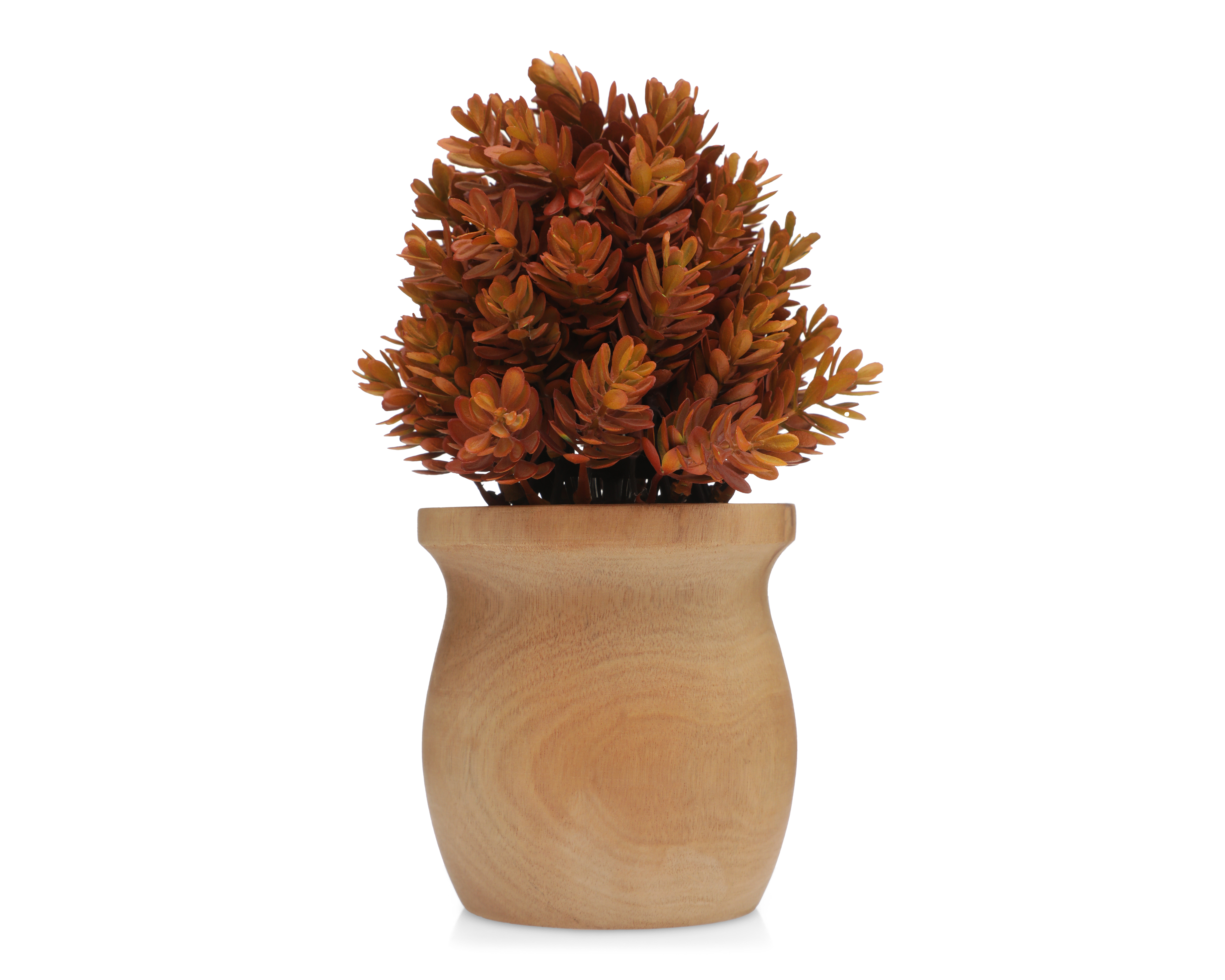 Foto 1 | Foto 1 | Planta Artificial con Maceta Starhaus 24 cm