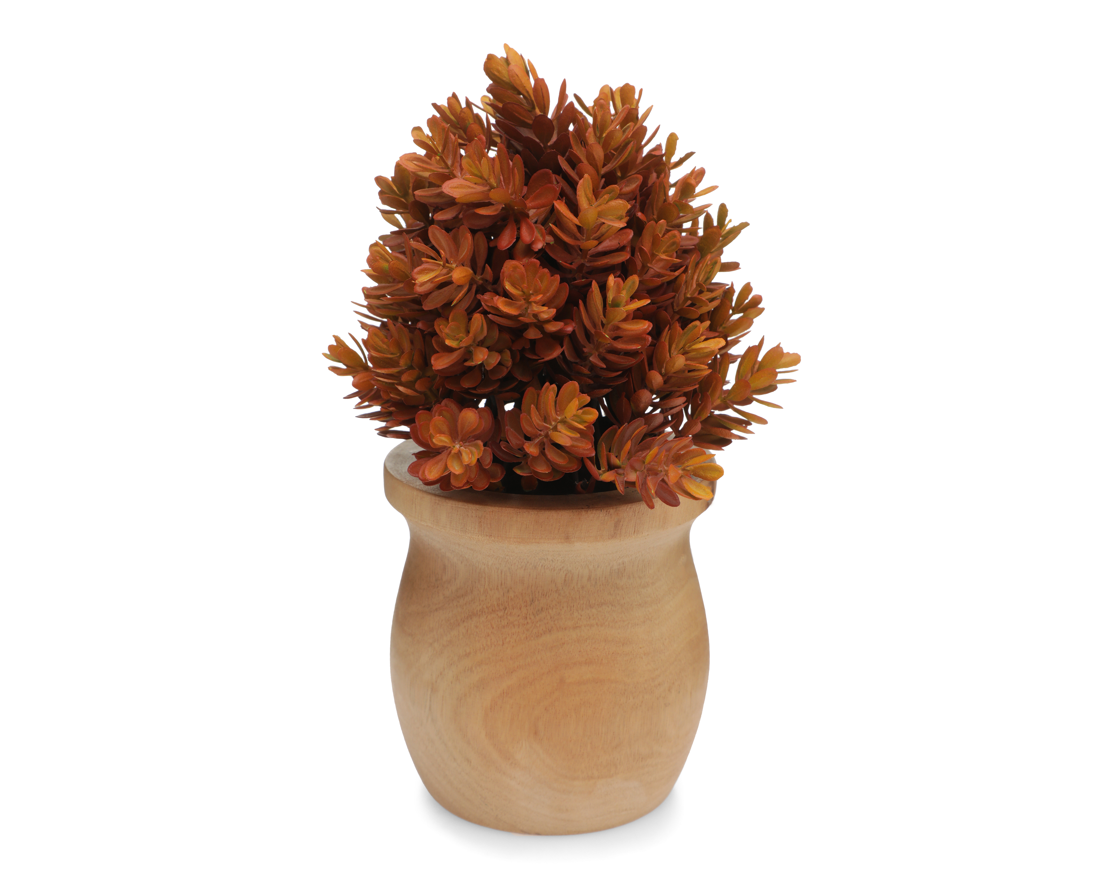 Foto 2 | Foto 2 | Planta Artificial con Maceta Starhaus 24 cm