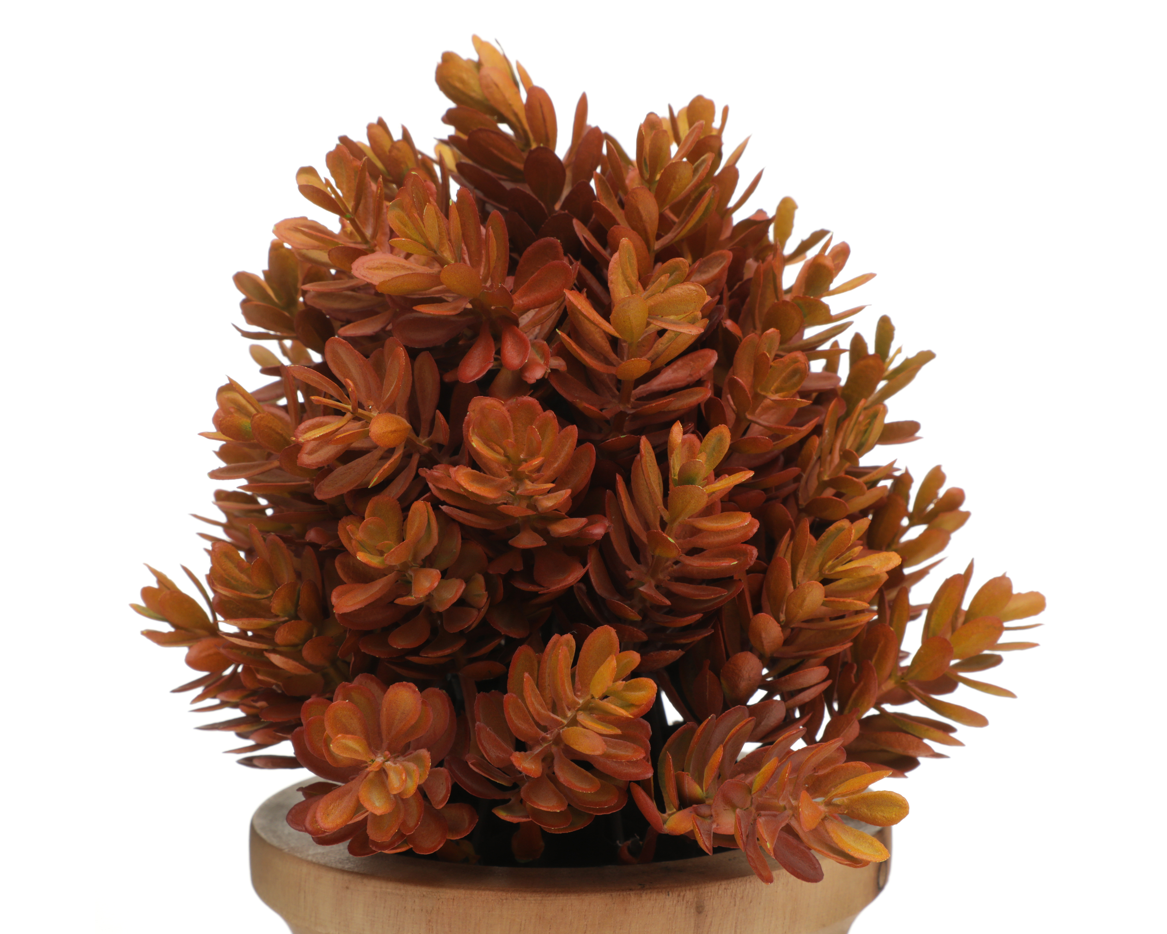 Foto 4 pulgar | Foto 3 | Planta Artificial con Maceta Starhaus 24 cm