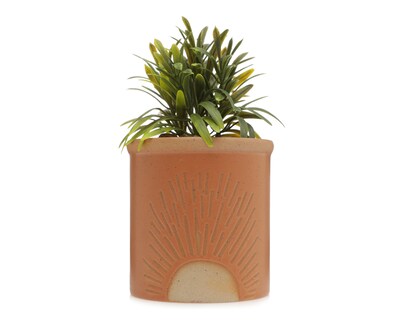 Foto 1 | Foto 1 | Planta Artificial con Maceta Starhaus 16 cm