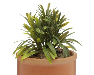 Foto 3 | Foto 3 | Planta Artificial con Maceta Starhaus 16 cm