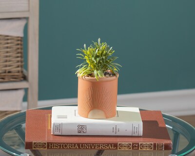 Foto 4 | Foto 4 | Planta Artificial con Maceta Starhaus 16 cm