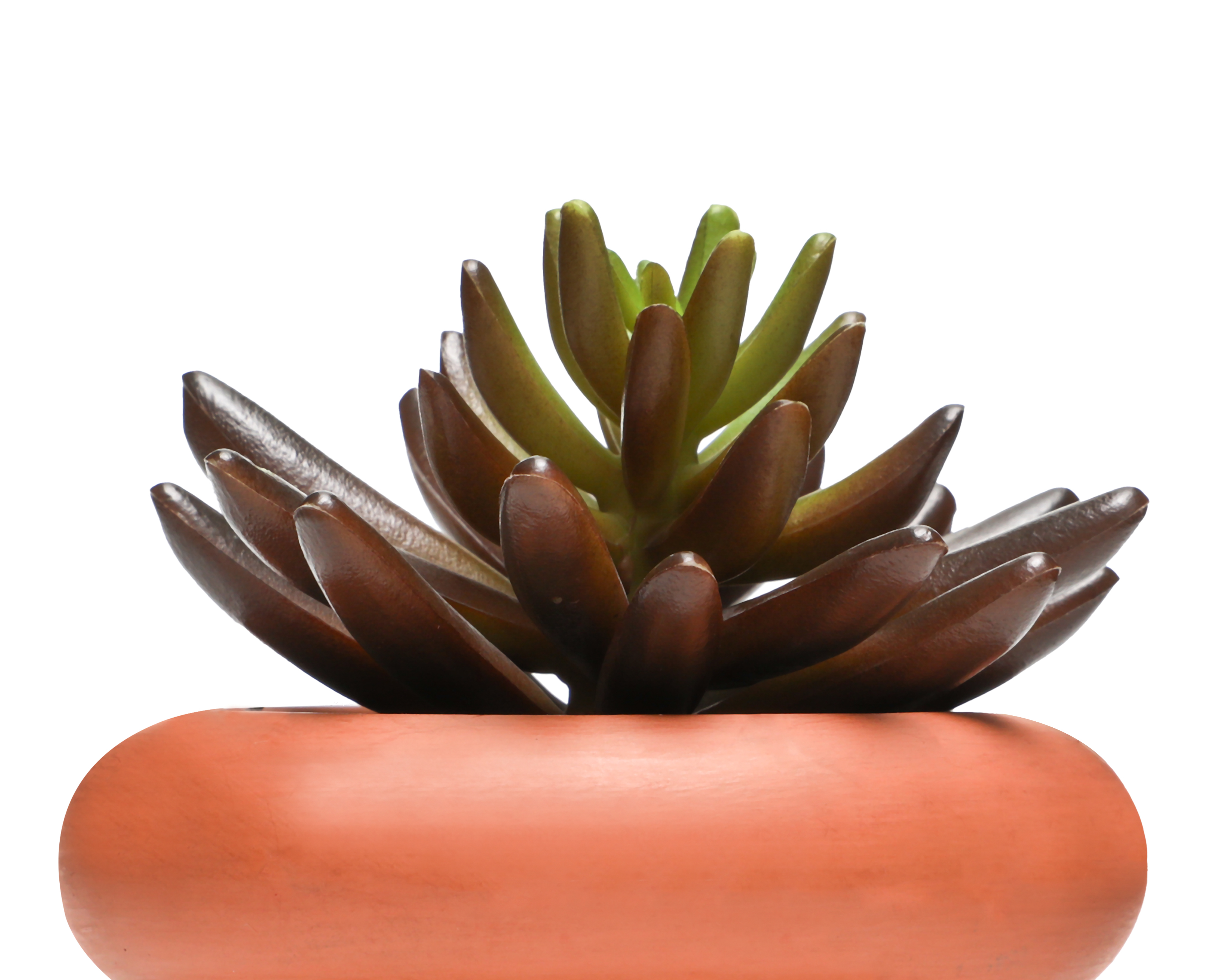 Foto 4 pulgar | Foto 3 | Planta Artificial con Maceta Starhaus 10.1 cm