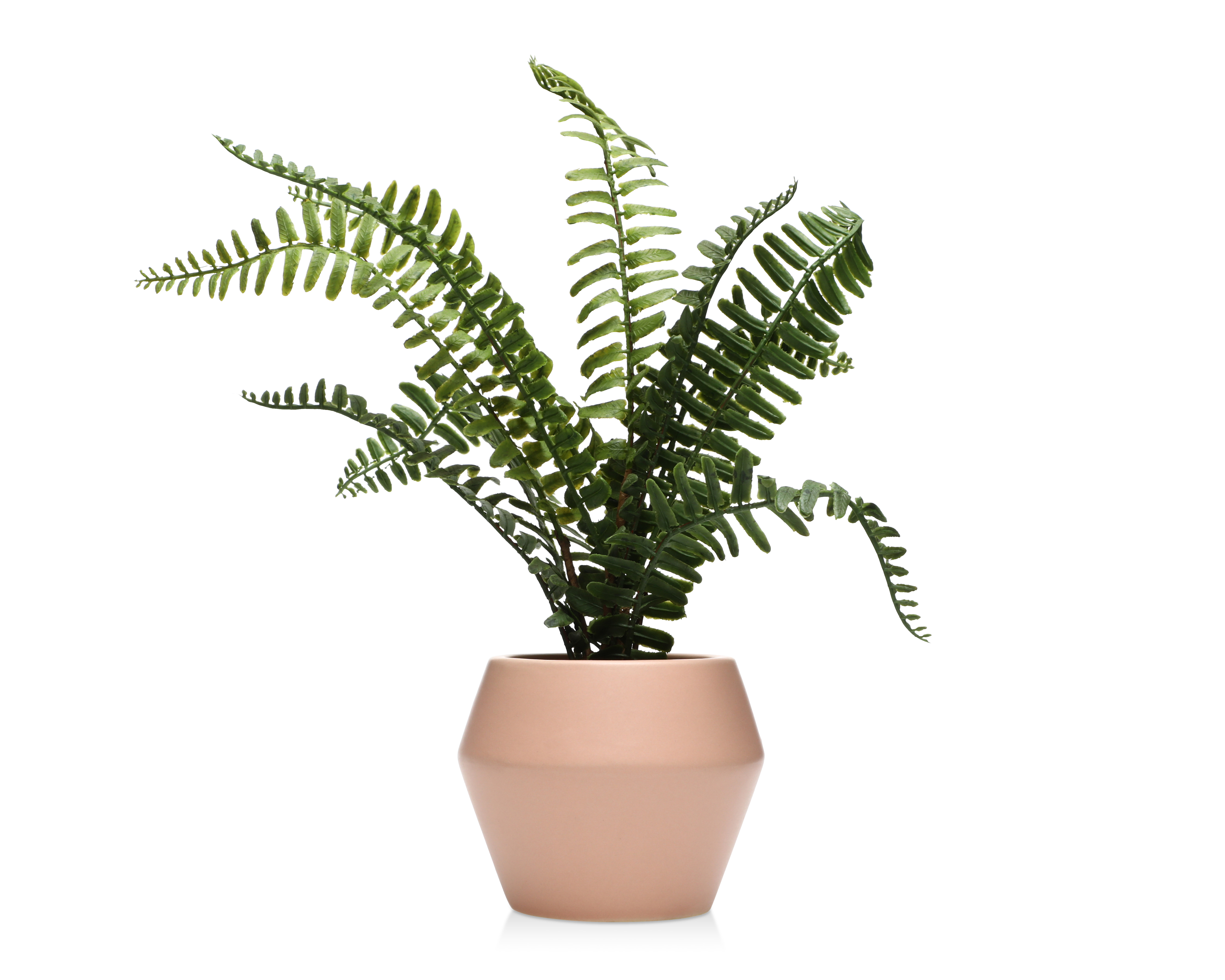 Planta Artificial con Maceta Starhaus