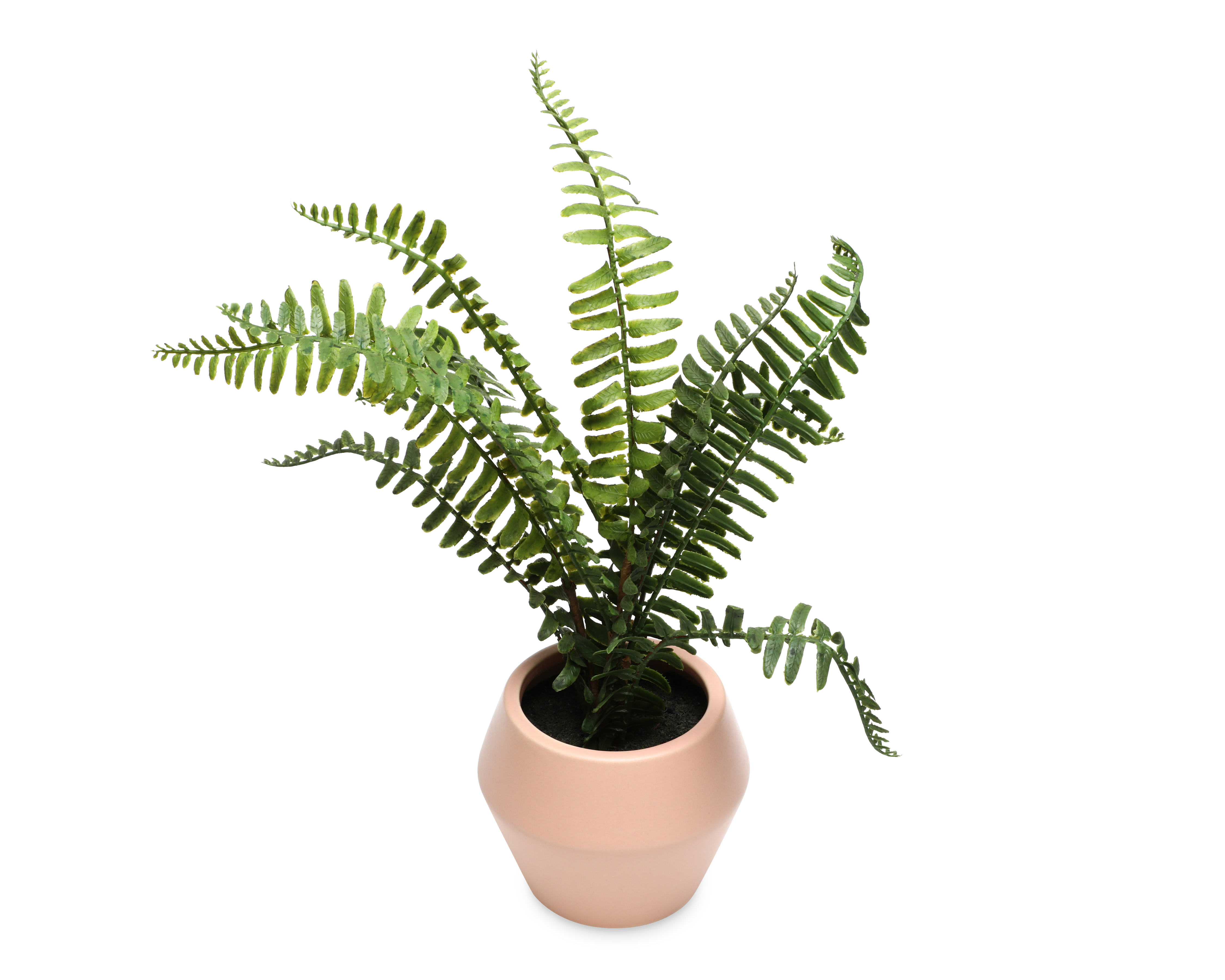 Foto 2 | Foto 2 | Planta Artificial con Maceta Starhaus