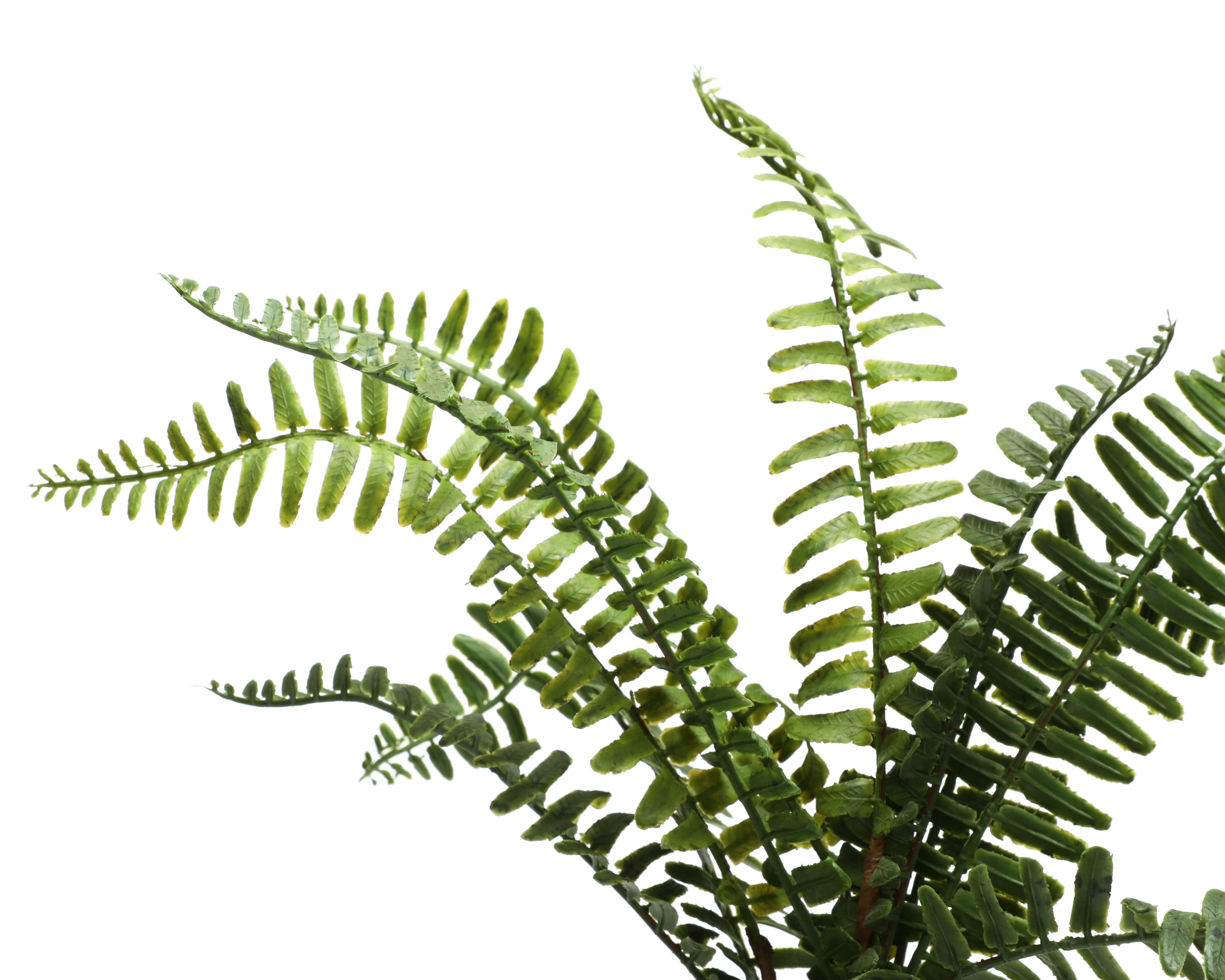 Foto 3 | Foto 3 | Planta Artificial con Maceta Starhaus