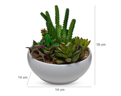 Foto 5 | Foto 5 | Planta Artificial con Maceta Starhaus 19 cm