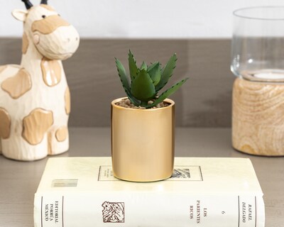 Foto 4 | Foto 4 | Planta Artificial con Maceta Starhaus 11 cm