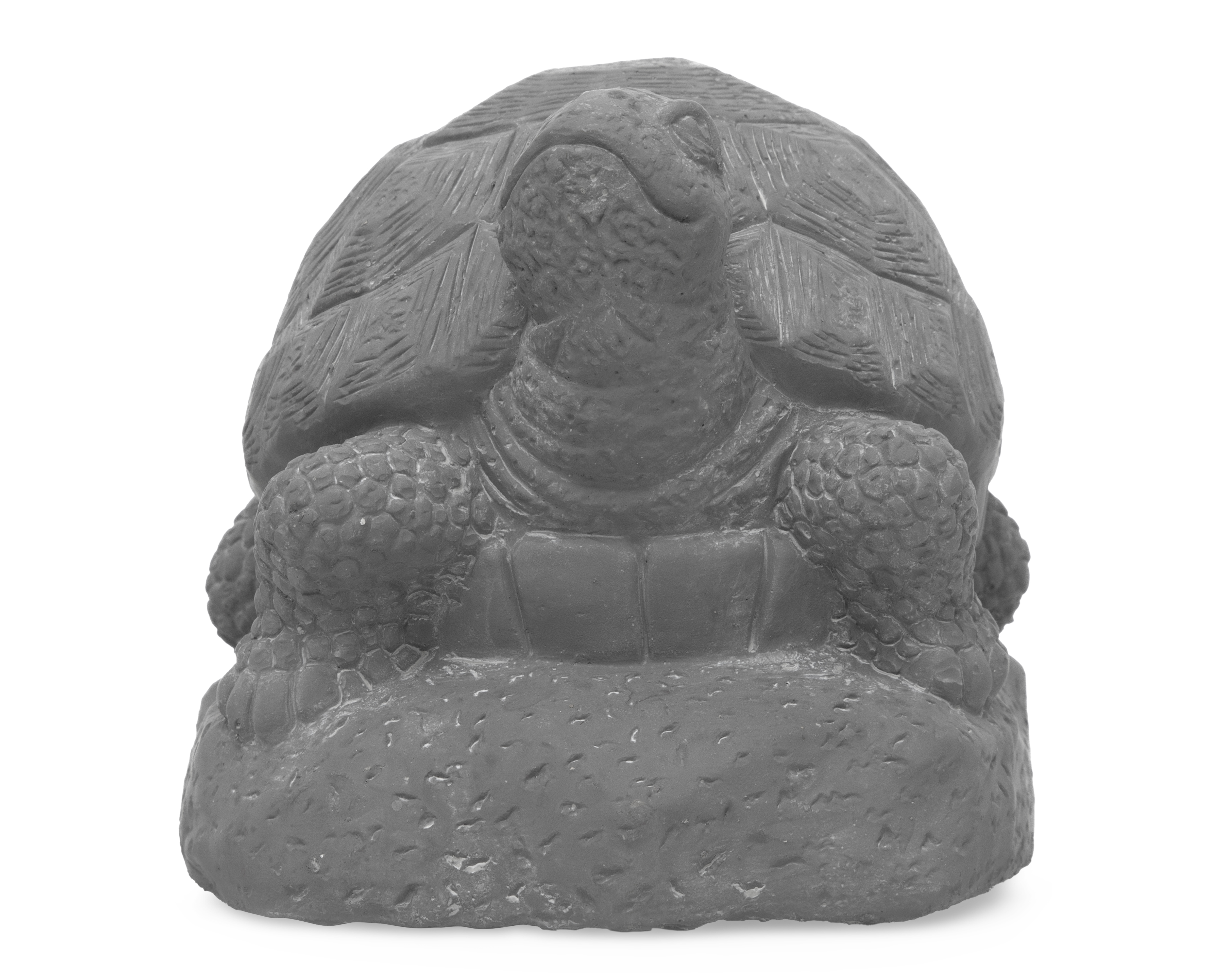 Foto 4 pulgar | Foto 3 | Escultura de Tortuga Timothee
