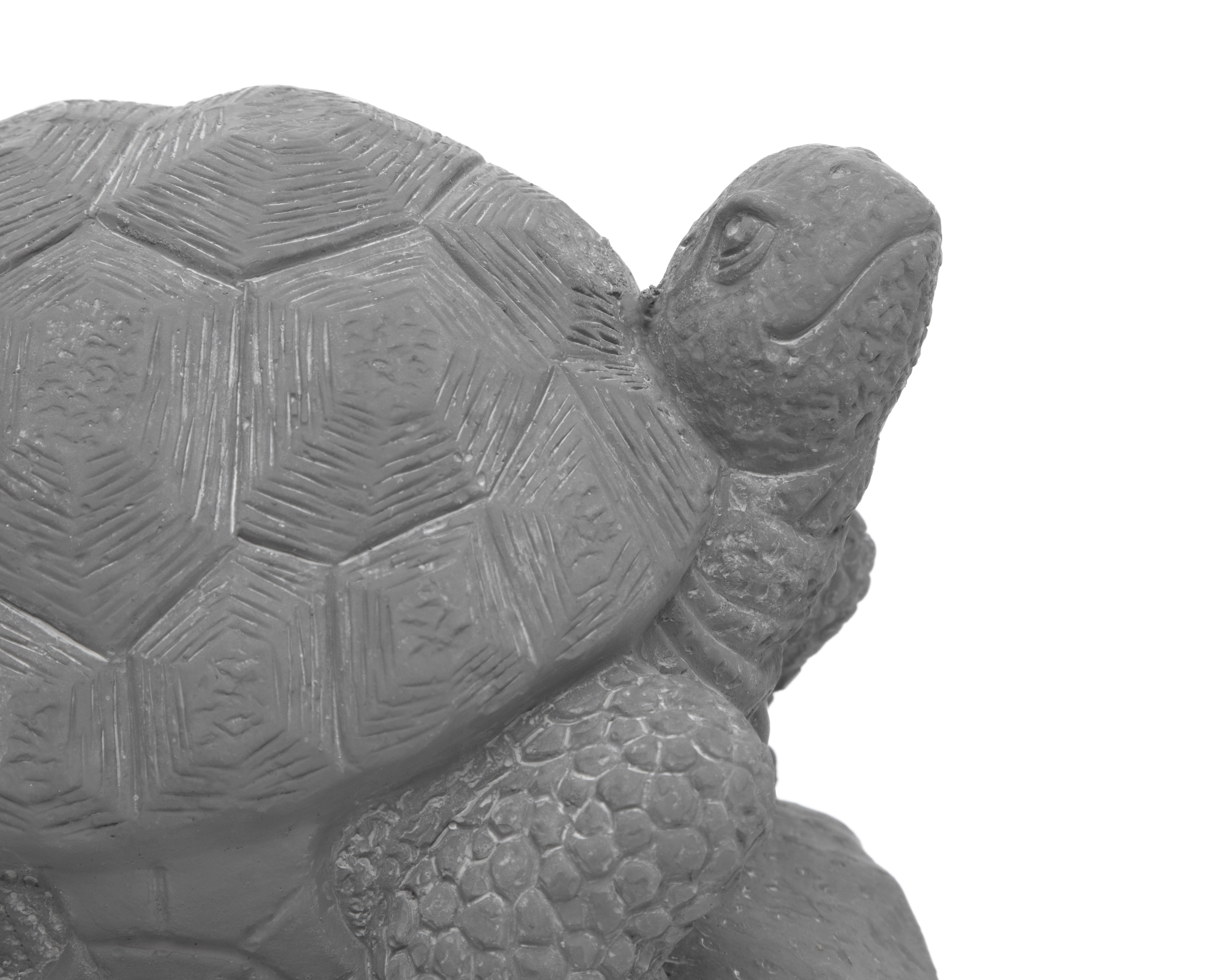 Foto 5 pulgar | Foto 4 | Escultura de Tortuga Timothee