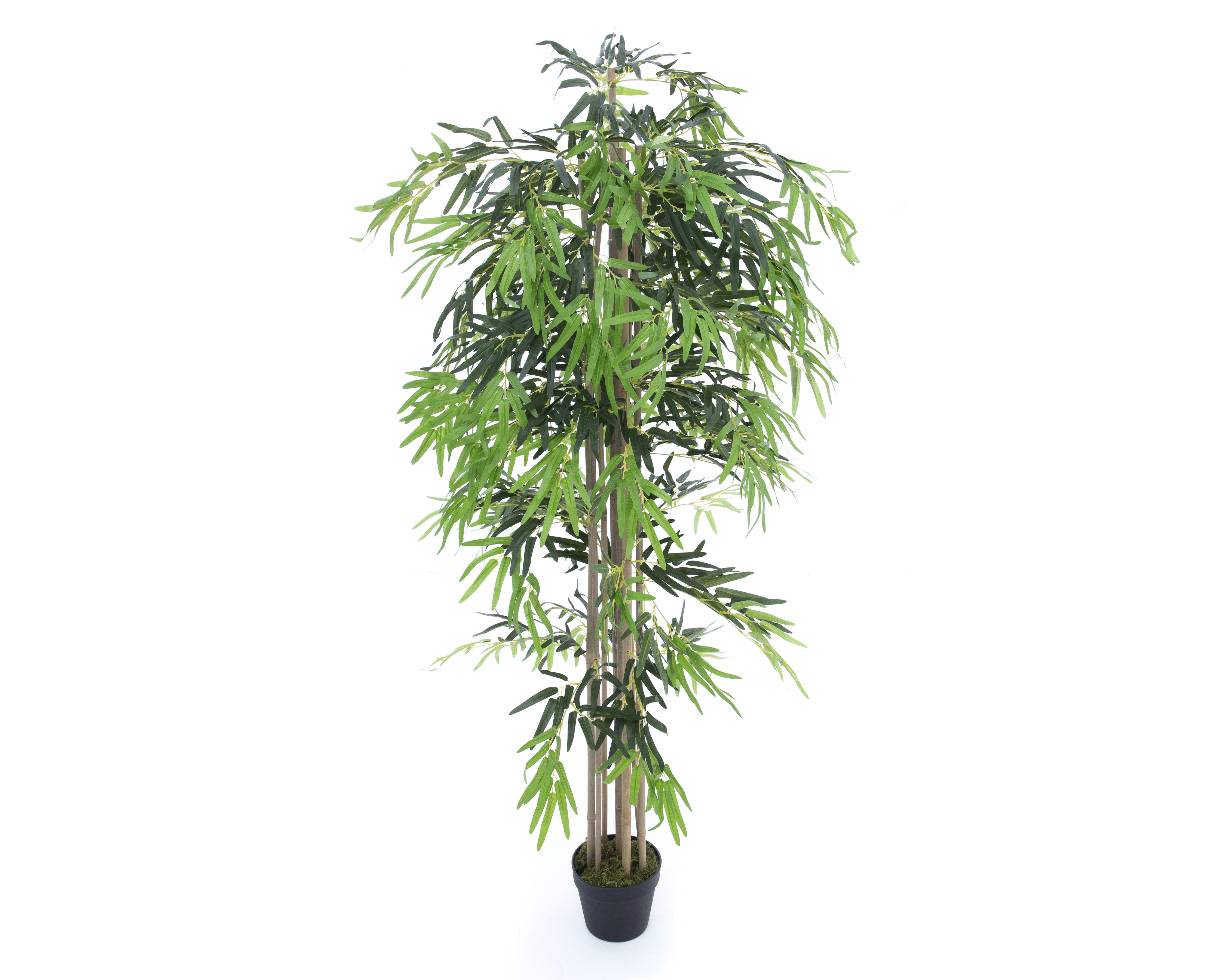 Foto 4 pulgar | Foto 3 | Planta Artificial Bamboo de 180 cm