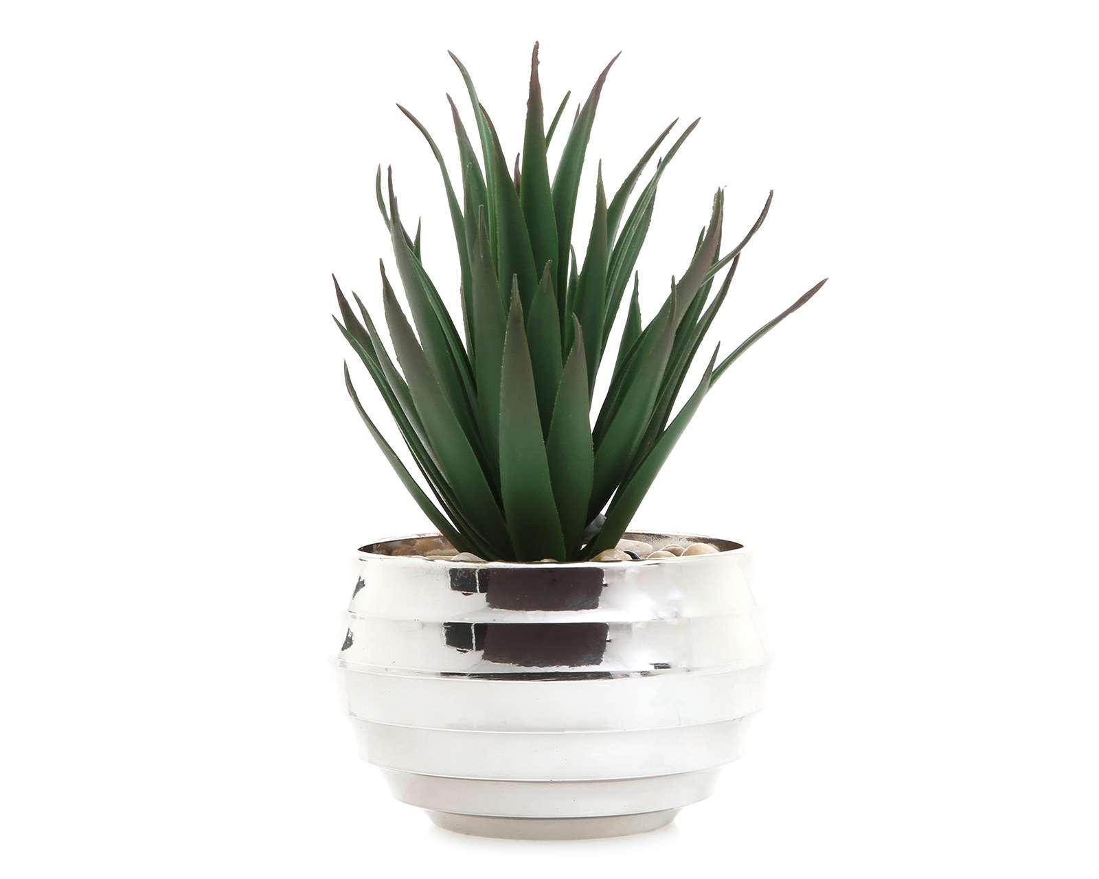 Foto 1 | Foto 1 | Maceta Decorativa Leonela