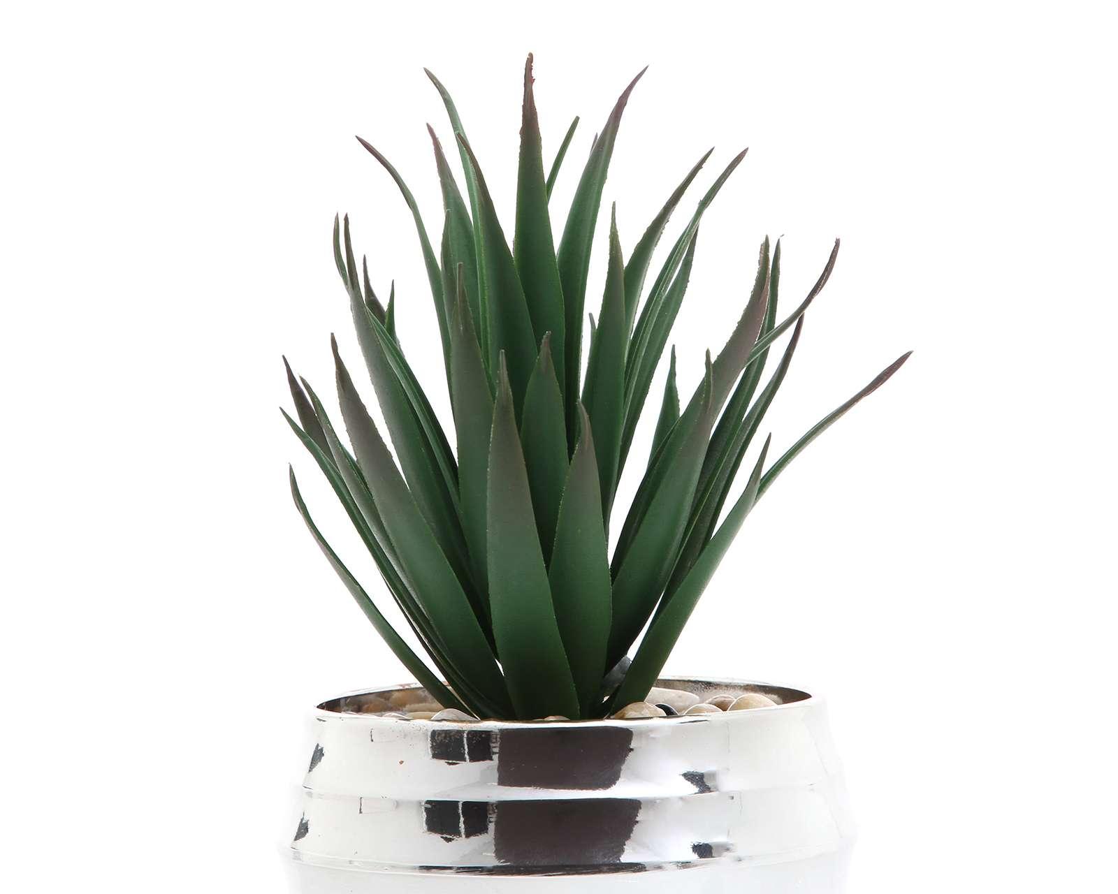 Foto 4 pulgar | Foto 3 | Maceta Decorativa Leonela