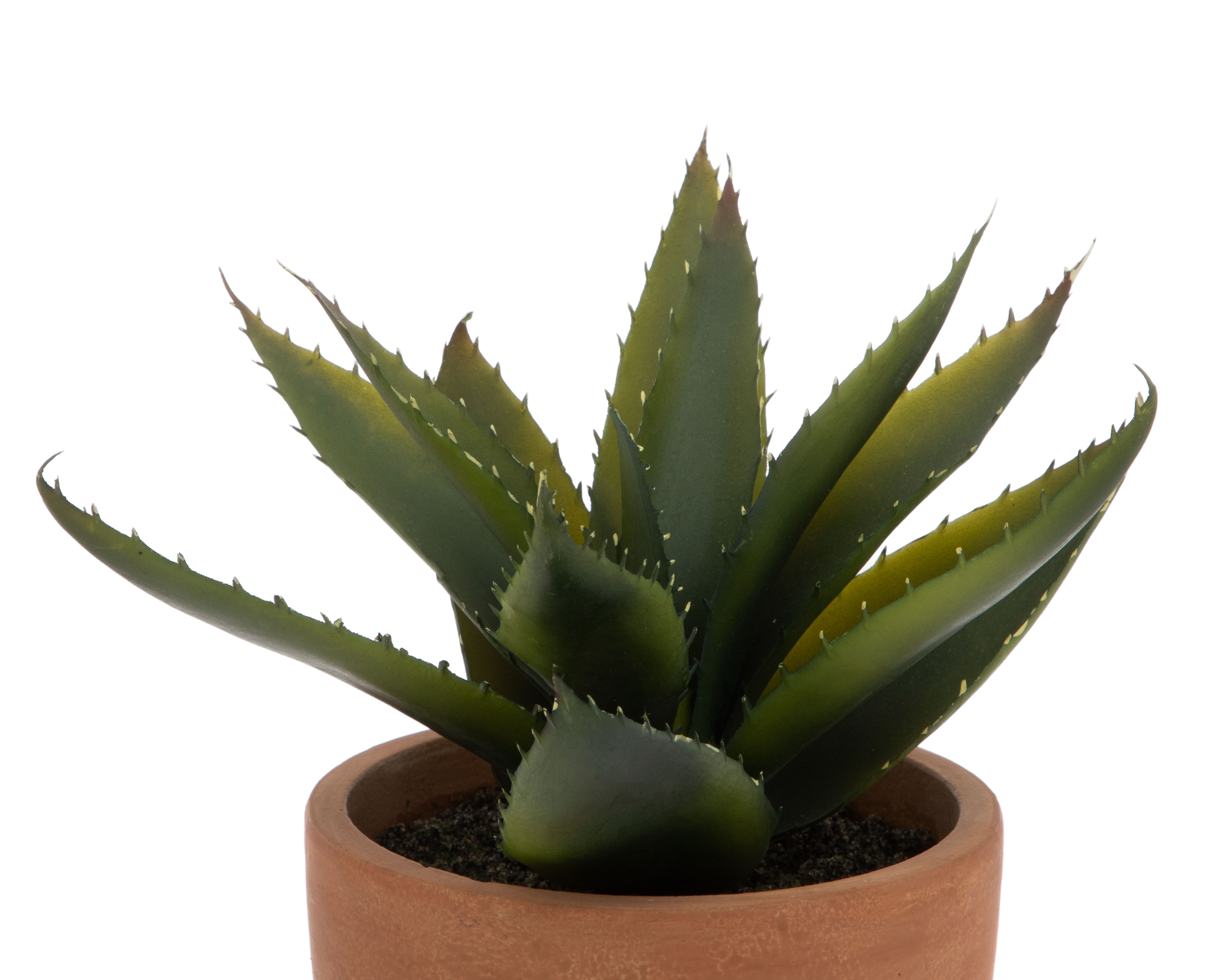 Foto 3 | Foto 3 | Planta Artificial con Maceta Starhaus 25.4 cm