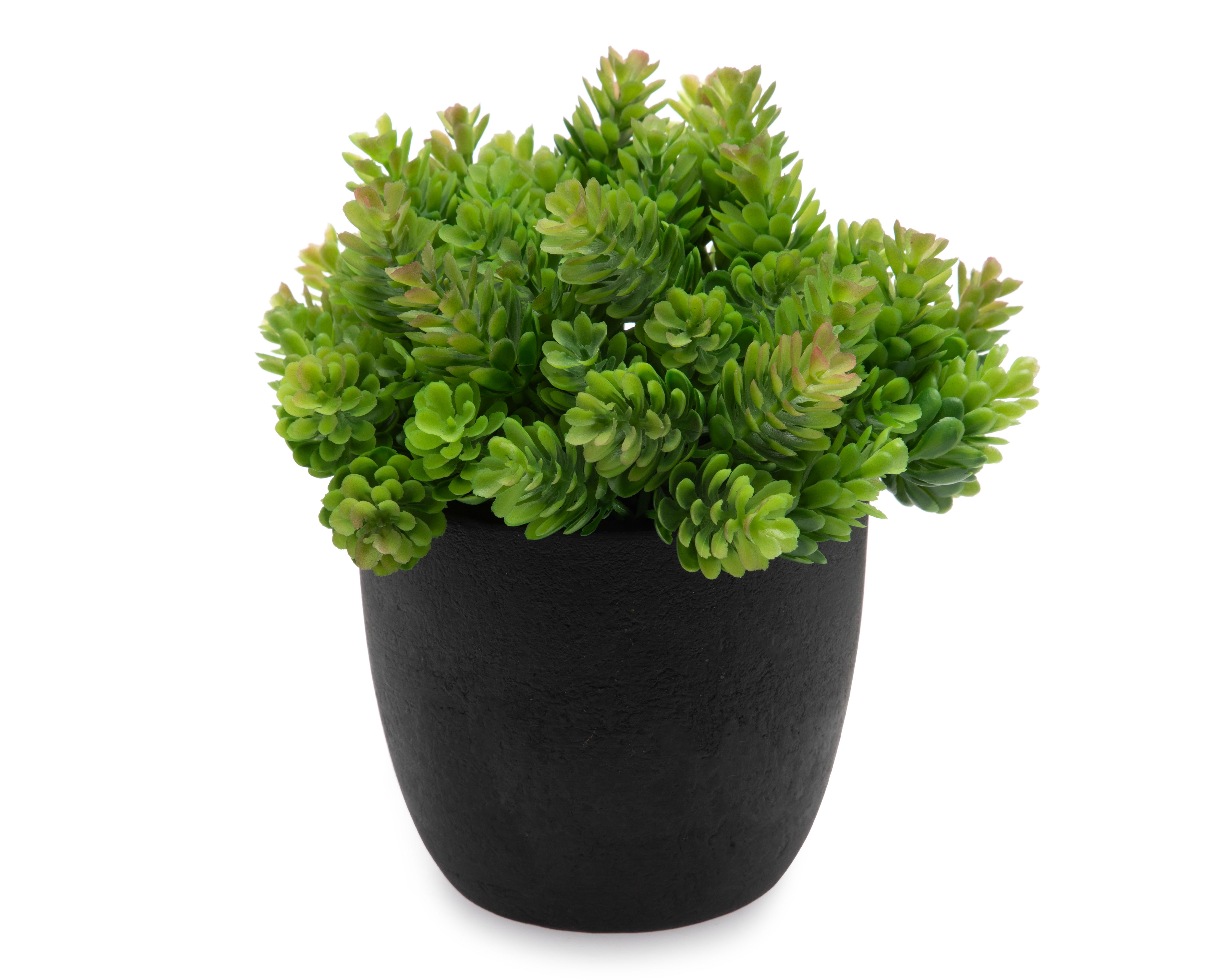 Foto 2 | Foto 2 | Planta Artificial con Maceta Starhaus 19 cm