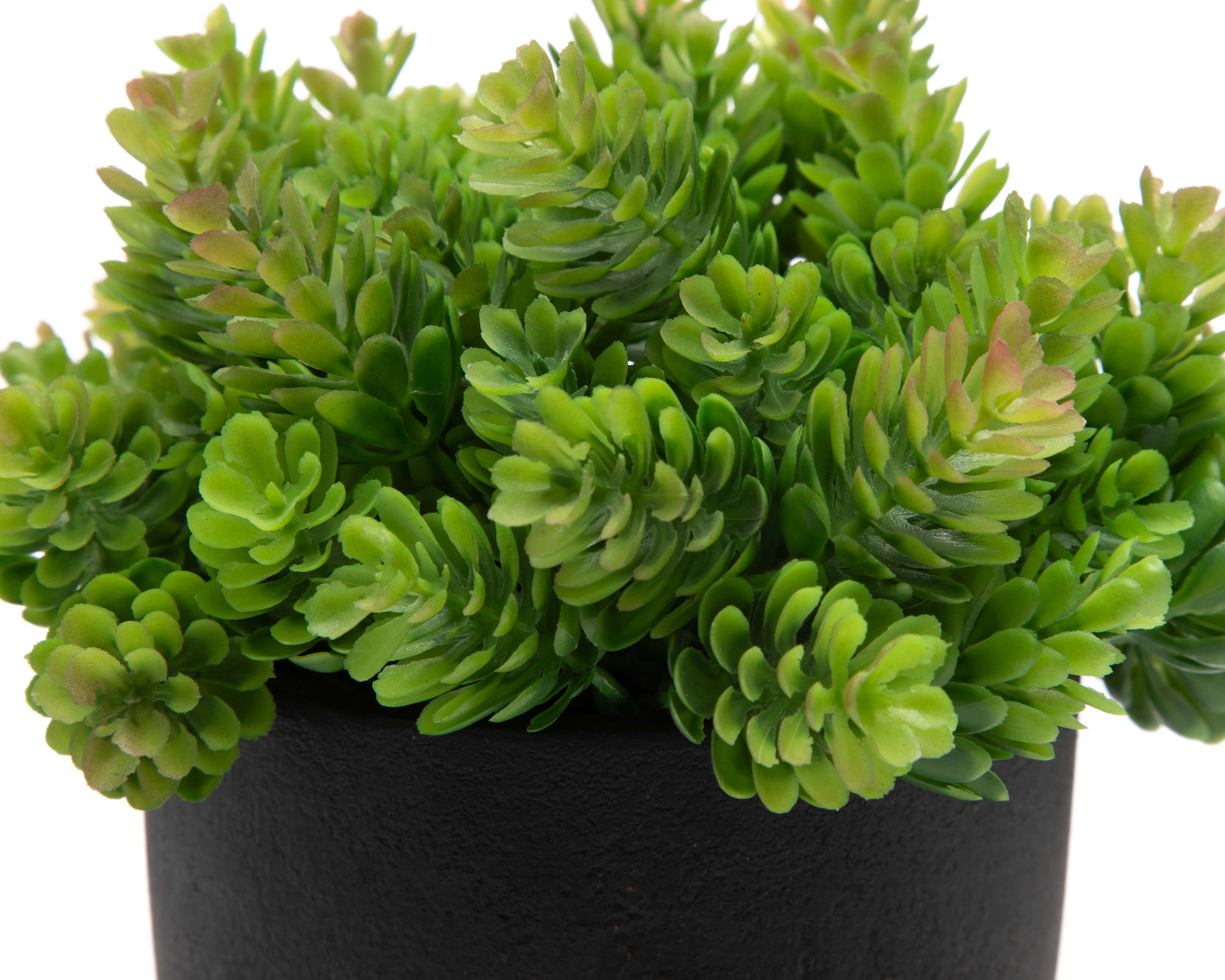Foto 3 | Foto 3 | Planta Artificial con Maceta Starhaus 19 cm