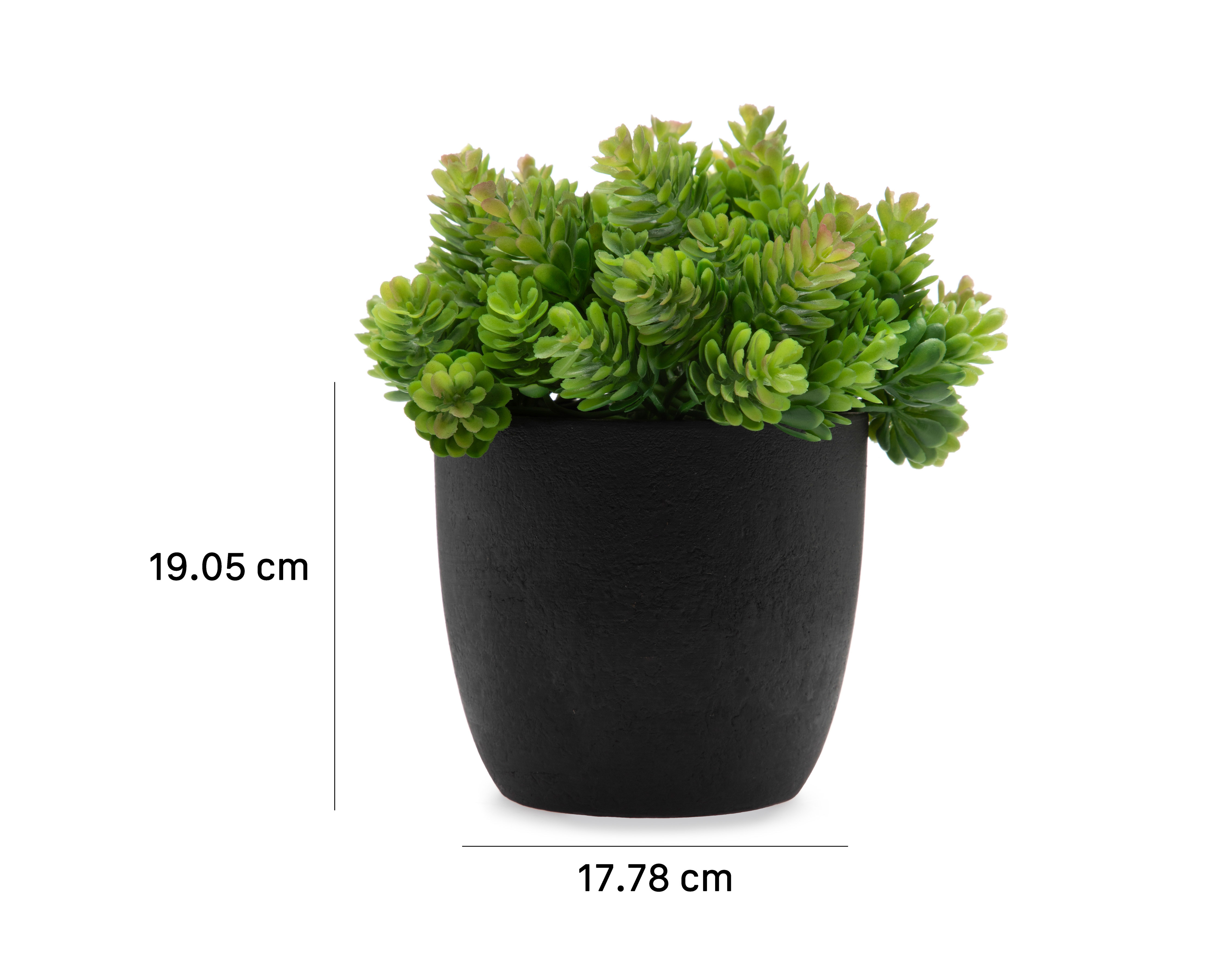 Foto 5 | Foto 5 | Planta Artificial con Maceta Starhaus 19 cm