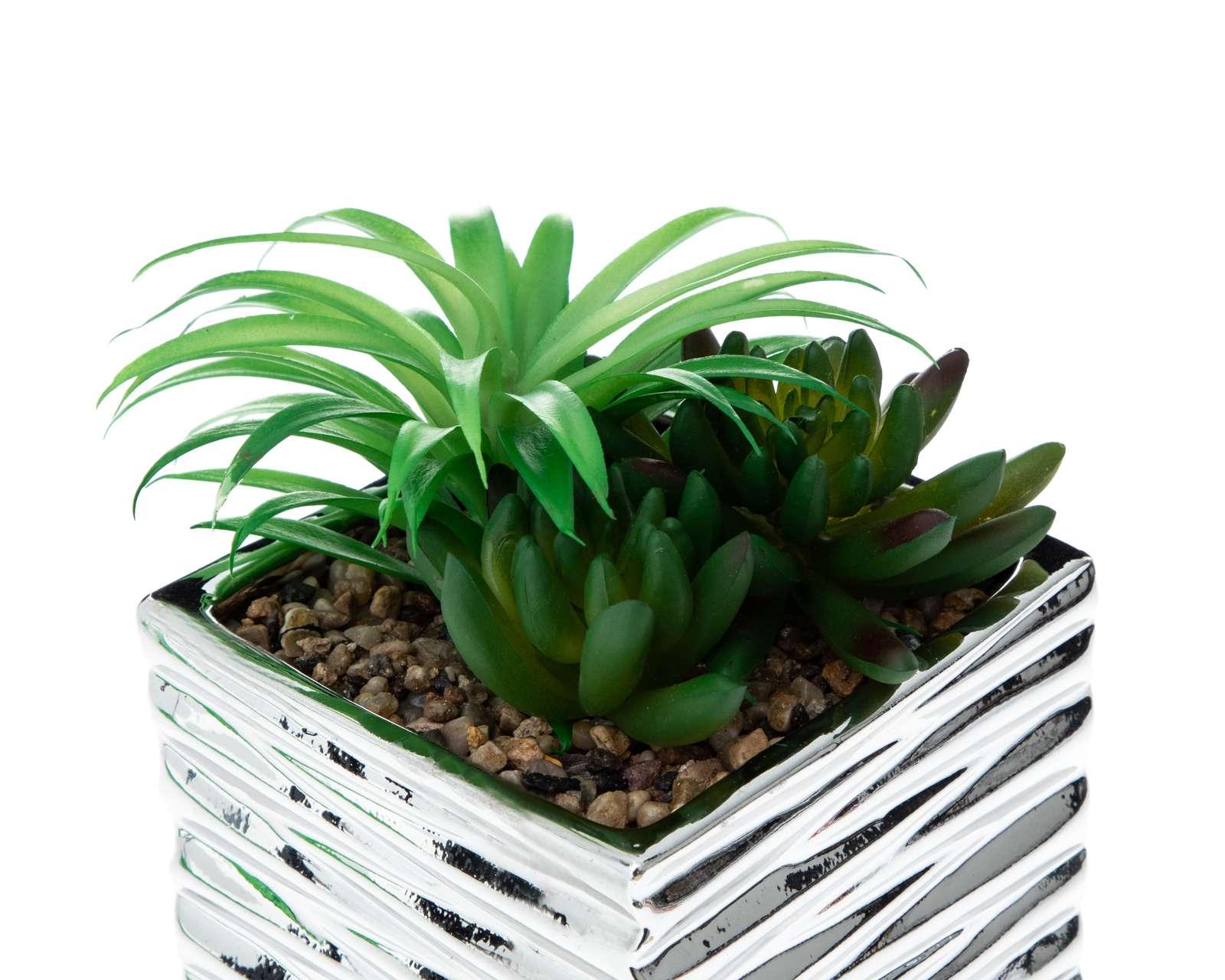 Foto 4 pulgar | Foto 3 | Maceta Decorativa Fanys