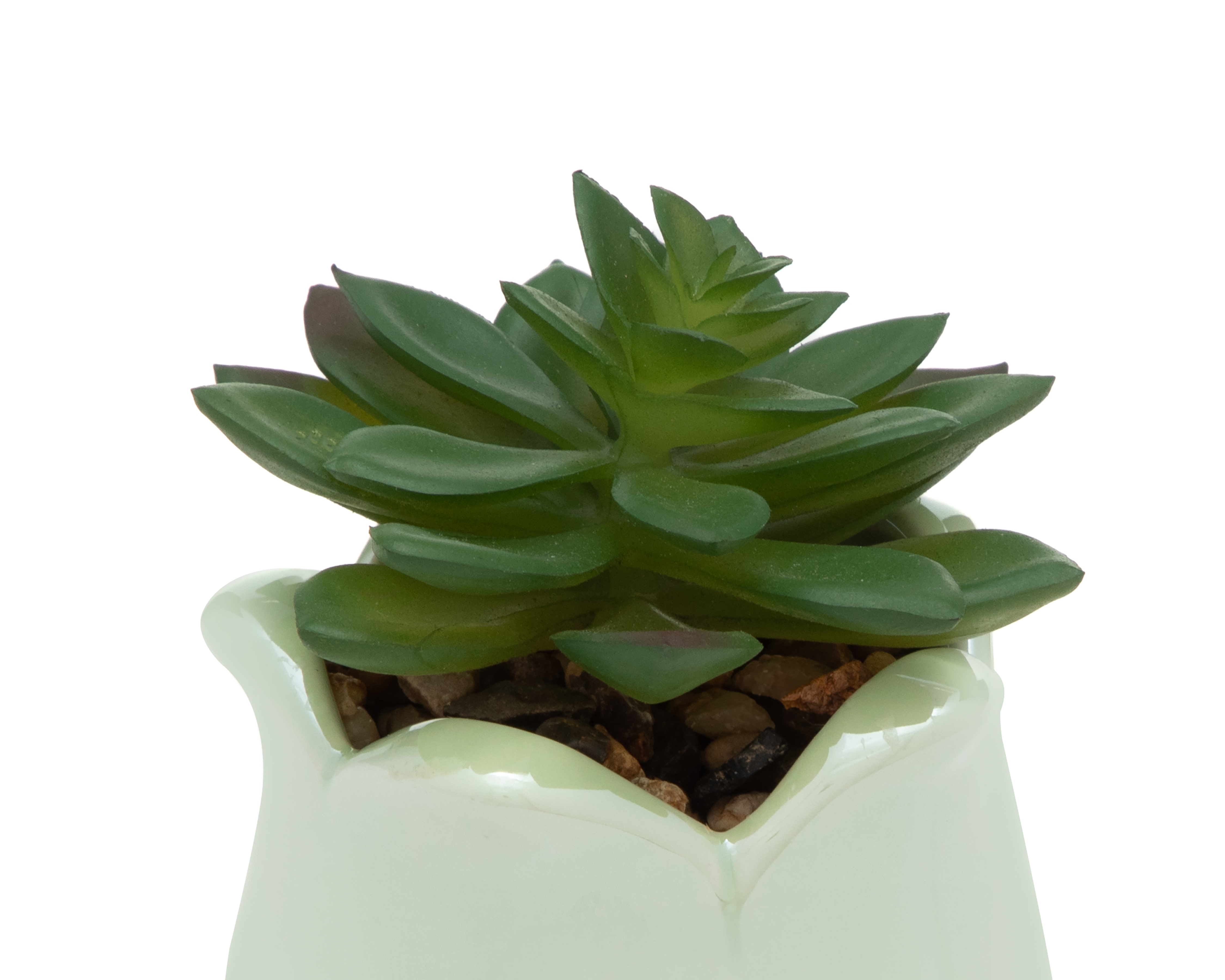Foto 4 pulgar | Foto 3 | Planta Artificial con Maceta Starhaus 6.5 cm