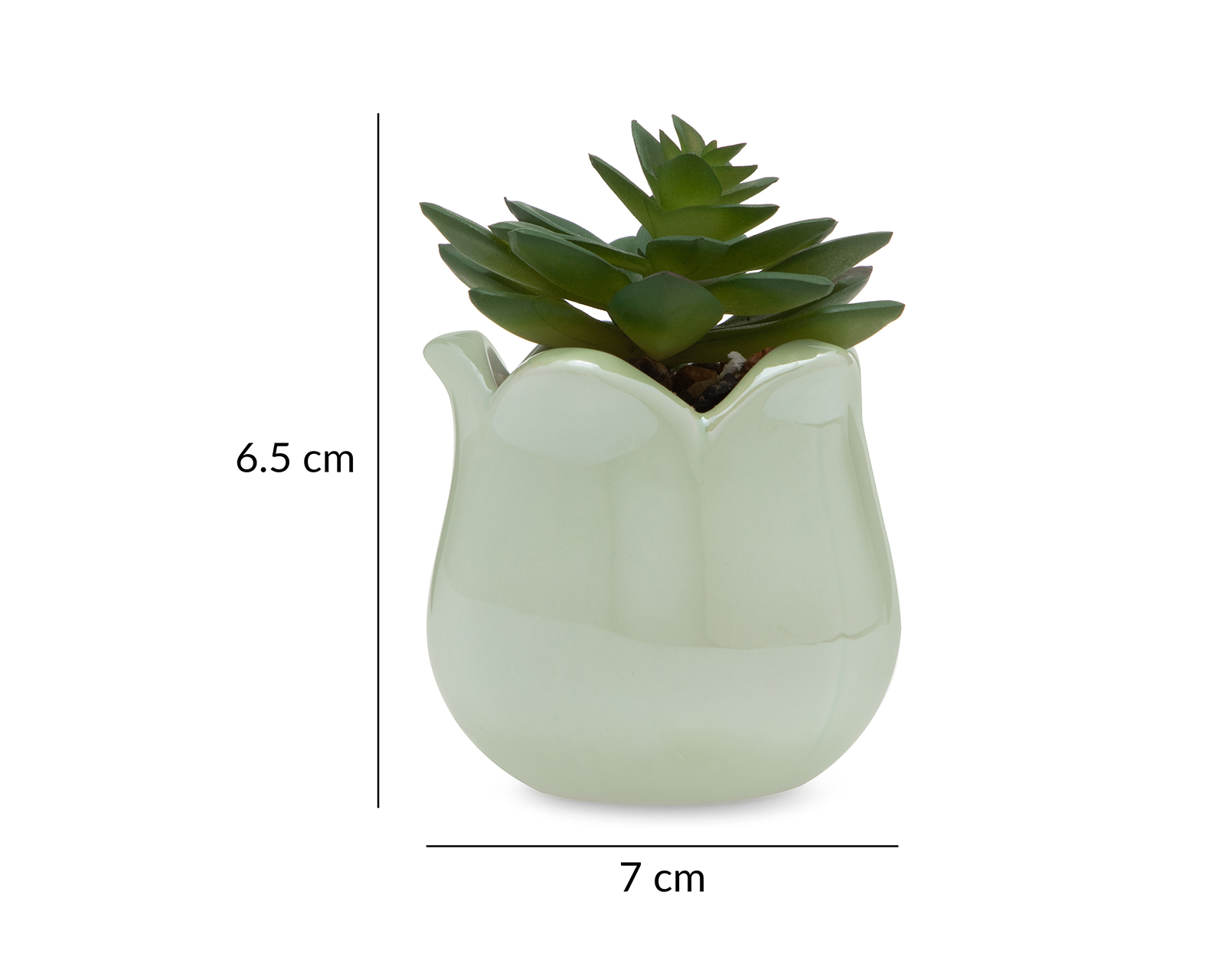 Foto 6 pulgar | Foto 5 | Planta Artificial con Maceta Starhaus 6.5 cm