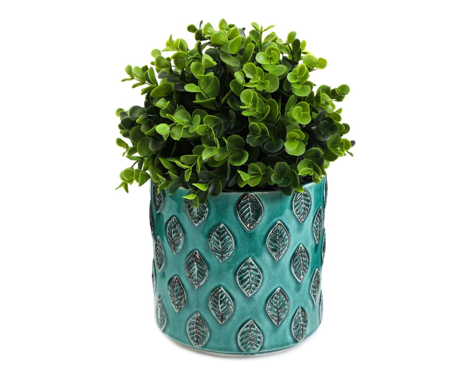 Foto 1 | Foto 1 | Planta Decorativa Petunia