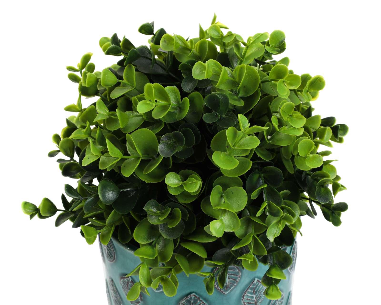 Foto 2 | Foto 2 | Planta Decorativa Petunia